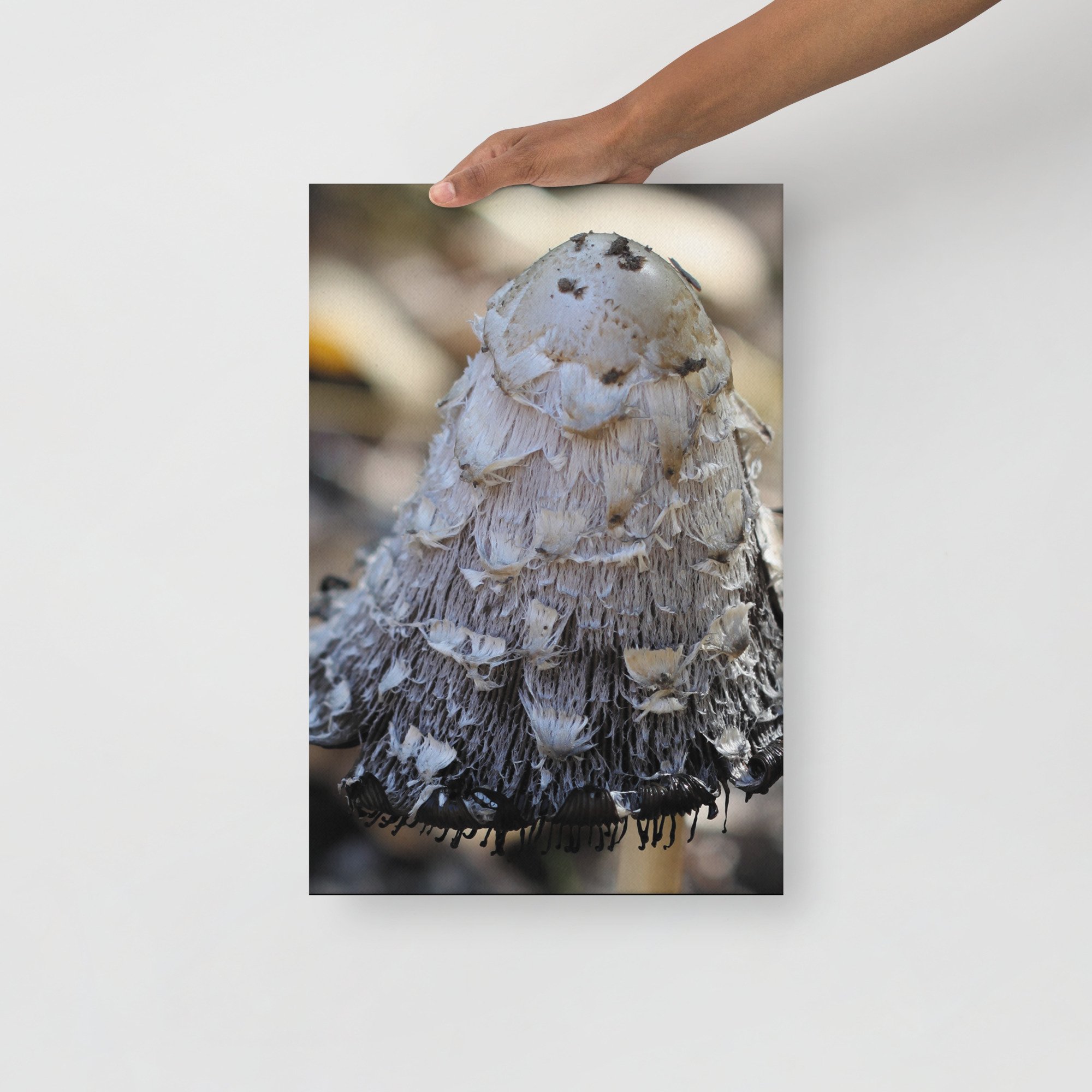 thin-canvas-(in)-12x18-front-674620d0be01f.jpg