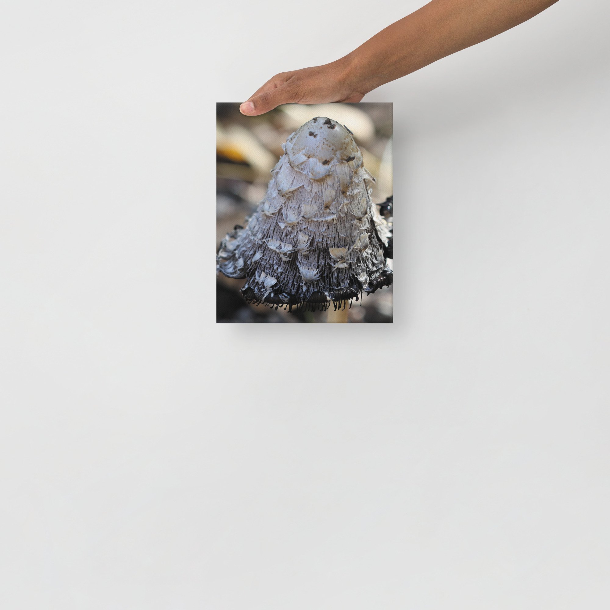 thin-canvas-(in)-8x10-front-674620d0be139.jpg