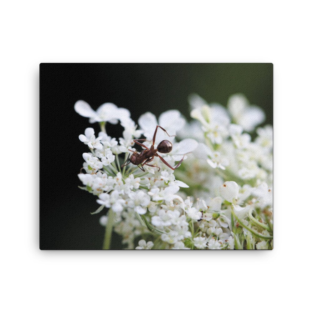 thin-canvas-(in)-16x20-front-67475ec4d6185.jpg