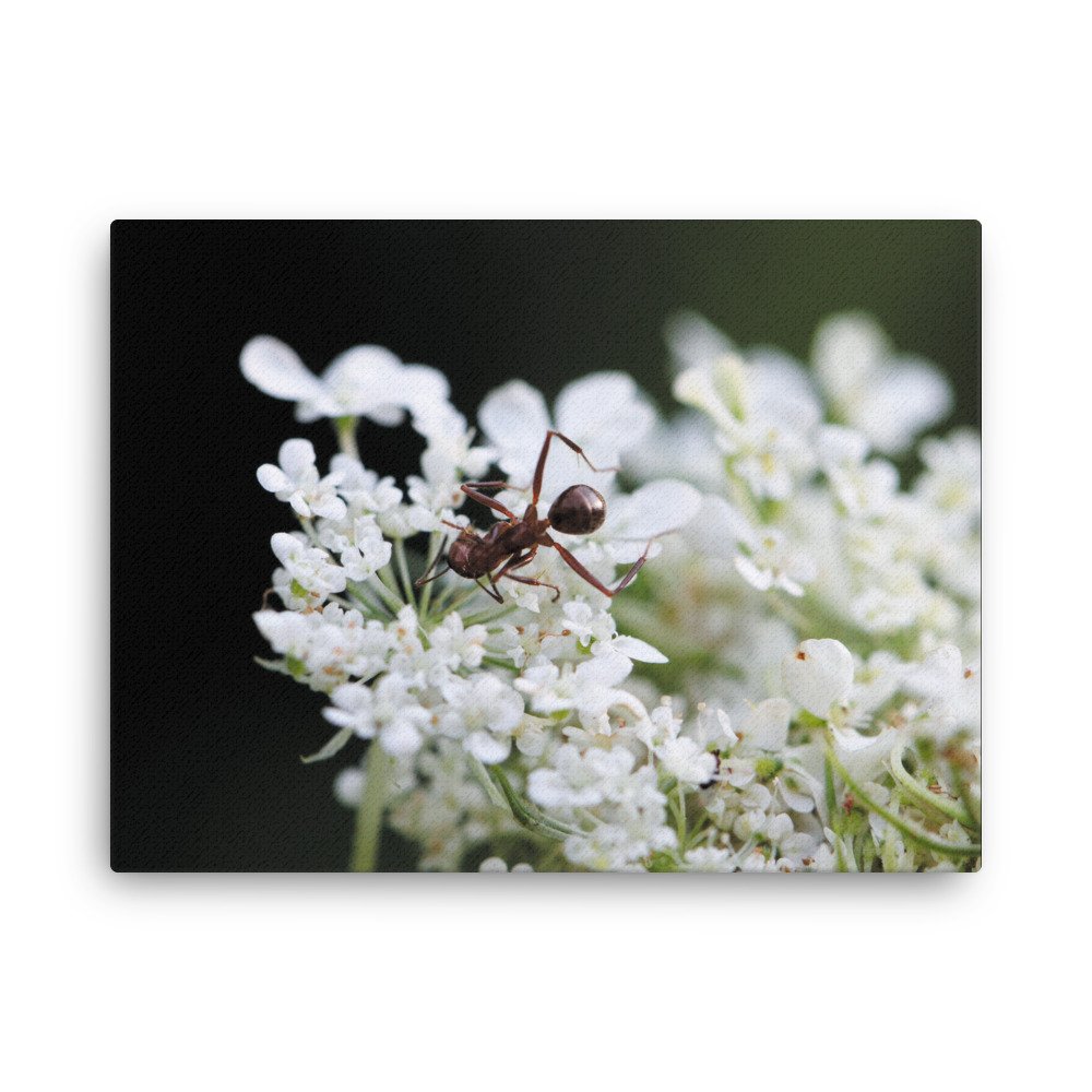 thin-canvas-(in)-18x24-front-67475ec4d61e4.jpg