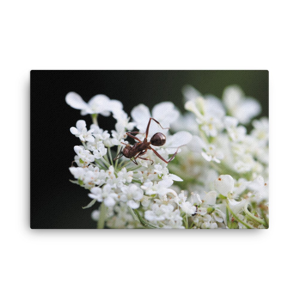 thin-canvas-(in)-24x36-front-67475ec4d623e.jpg