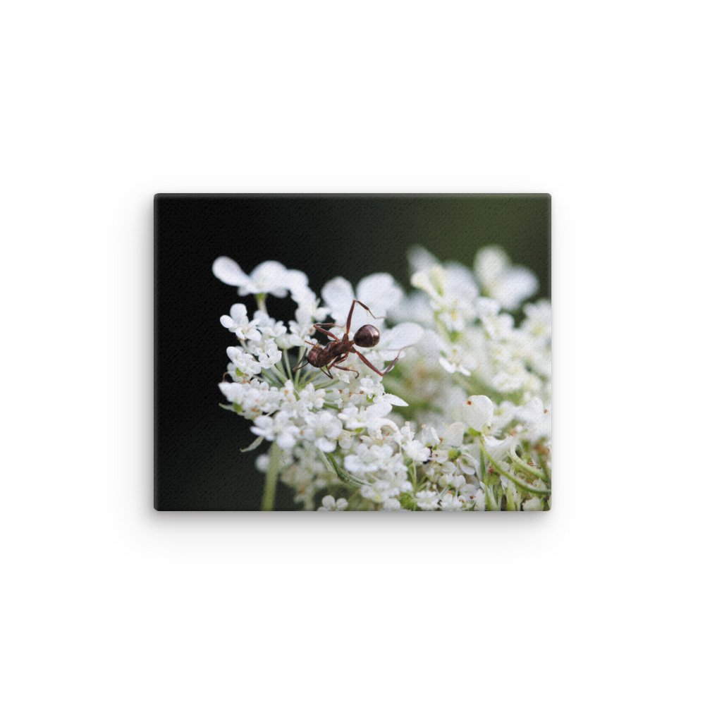 thin-canvas-(in)-8x10-front-67475ec4d63fe.jpg