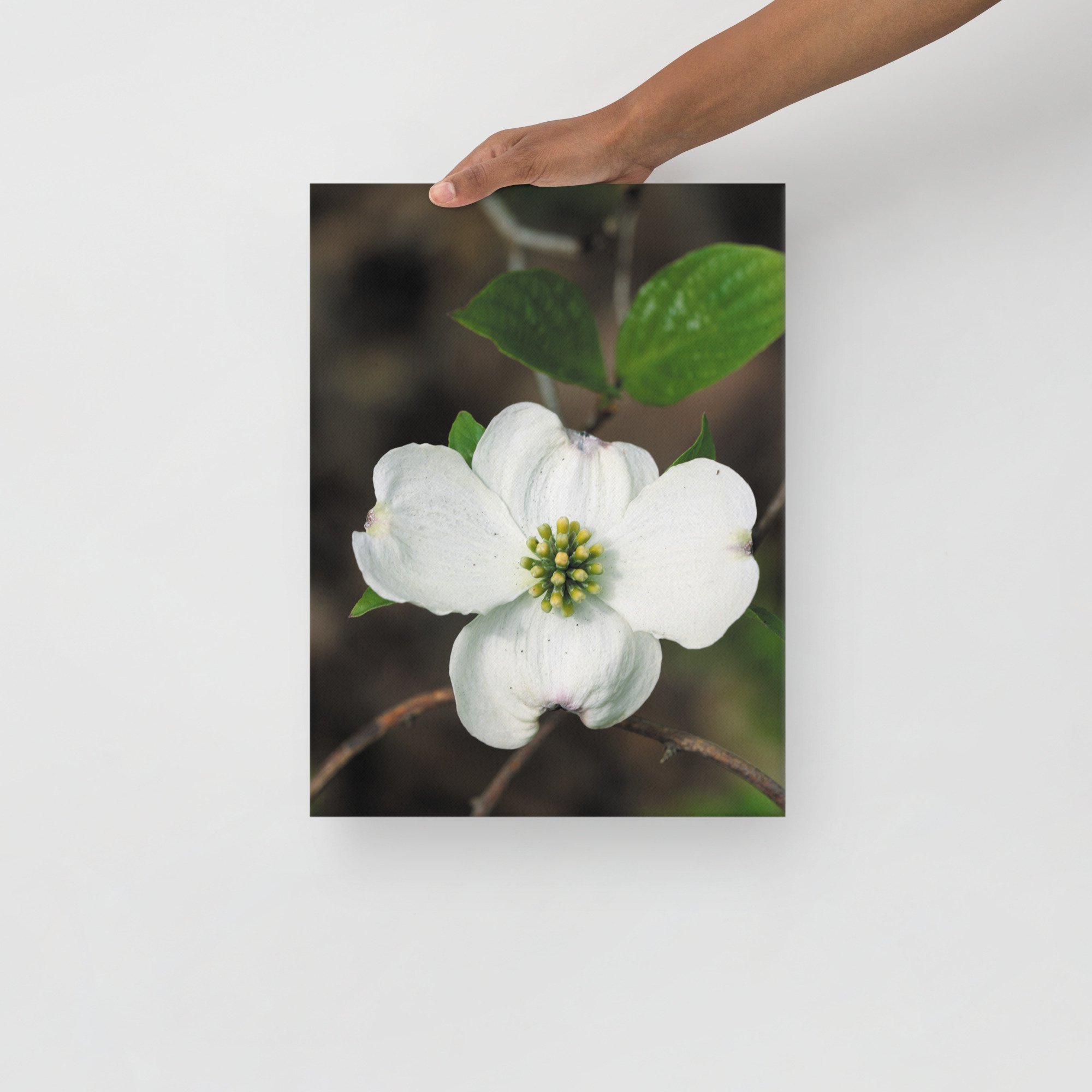 thin-canvas-(in)-12x16-front-6754febbe6211.jpg