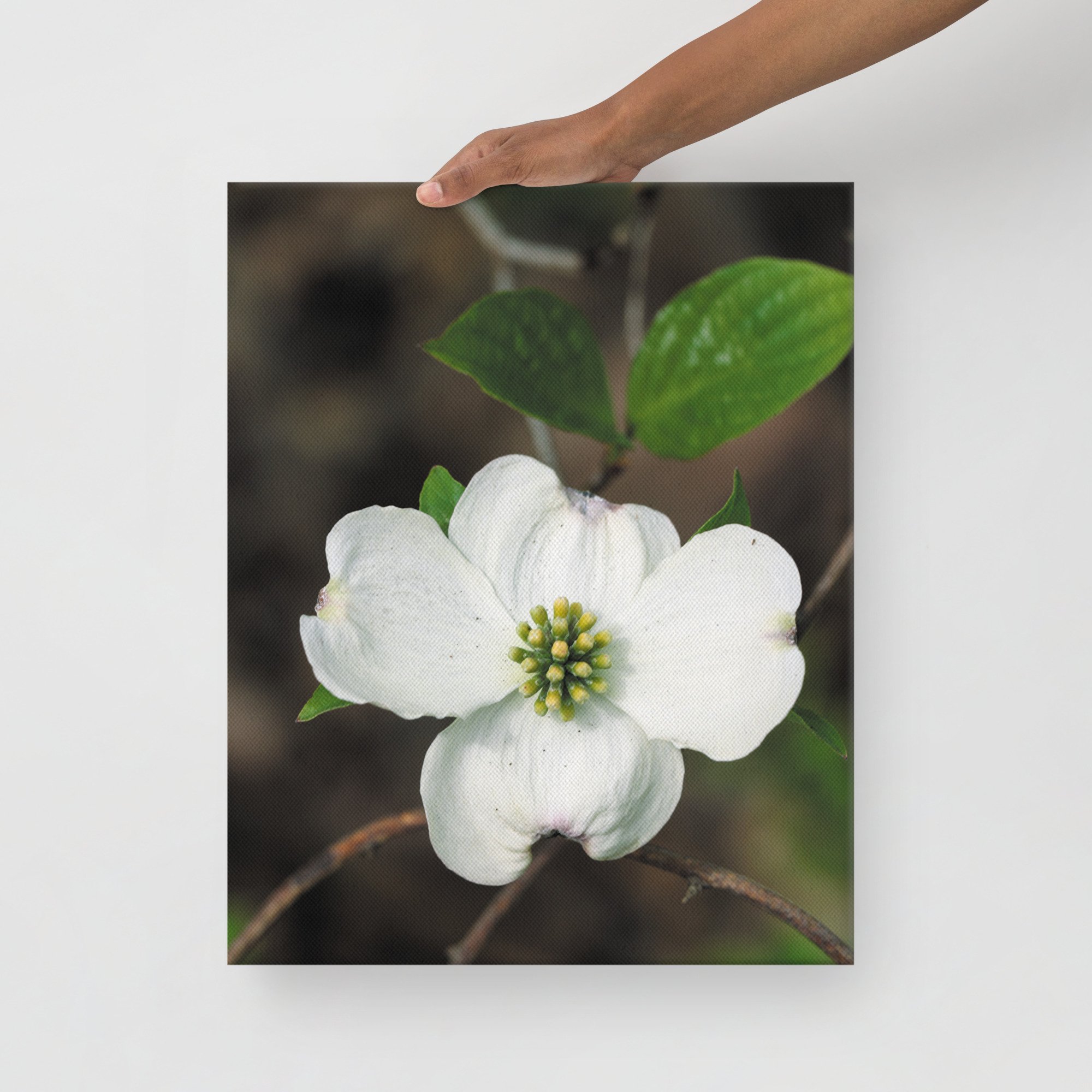 thin-canvas-(in)-16x20-front-6754febbe62f8.jpg