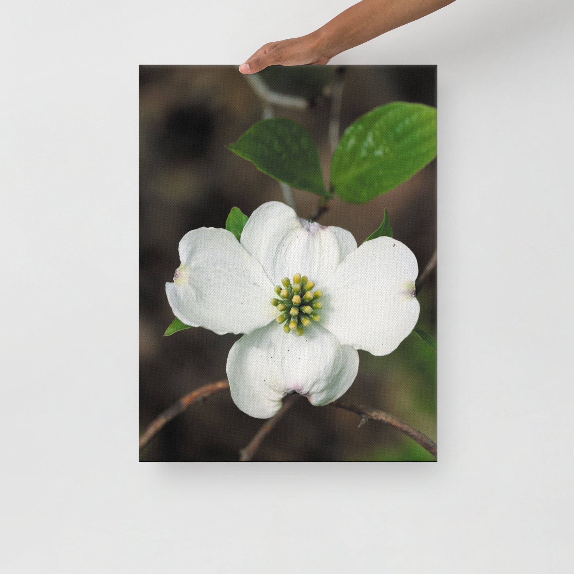 thin-canvas-(in)-18x24-front-6754febbe63ac.jpg