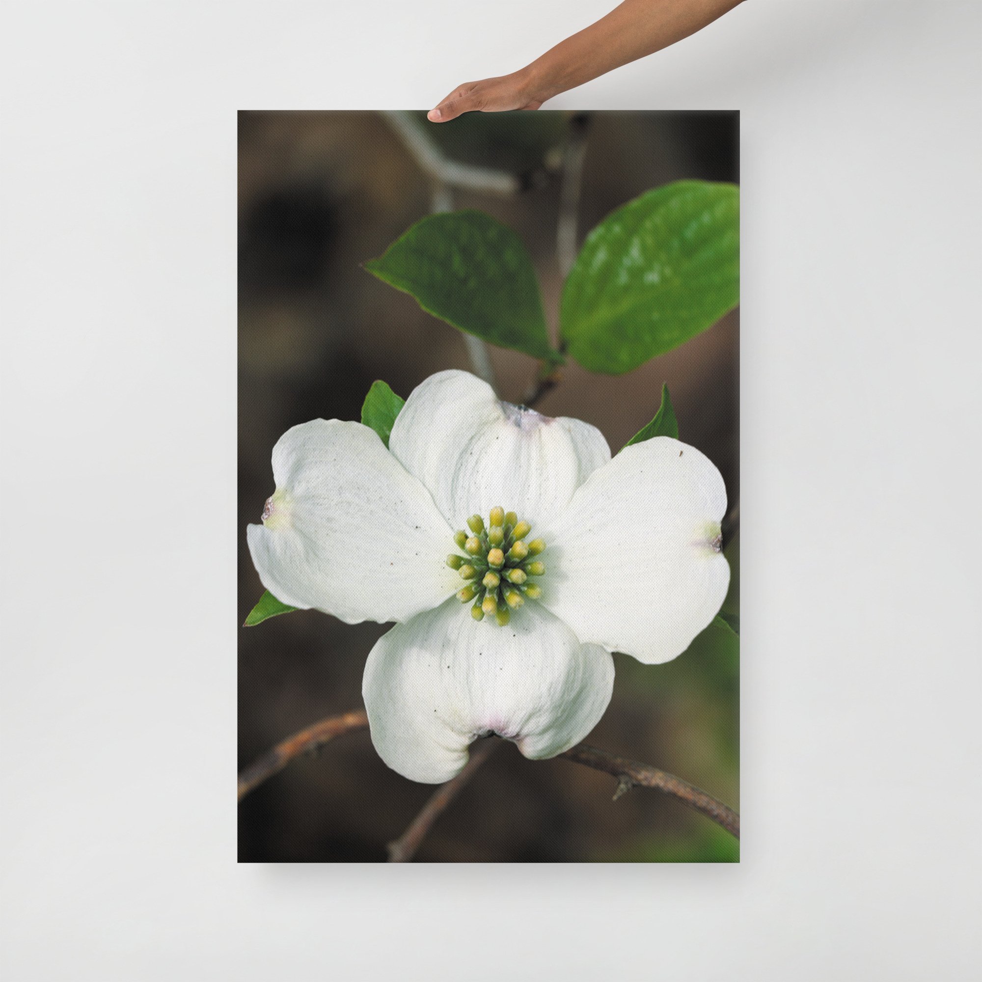 thin-canvas-(in)-24x36-front-6754febbe6448.jpg