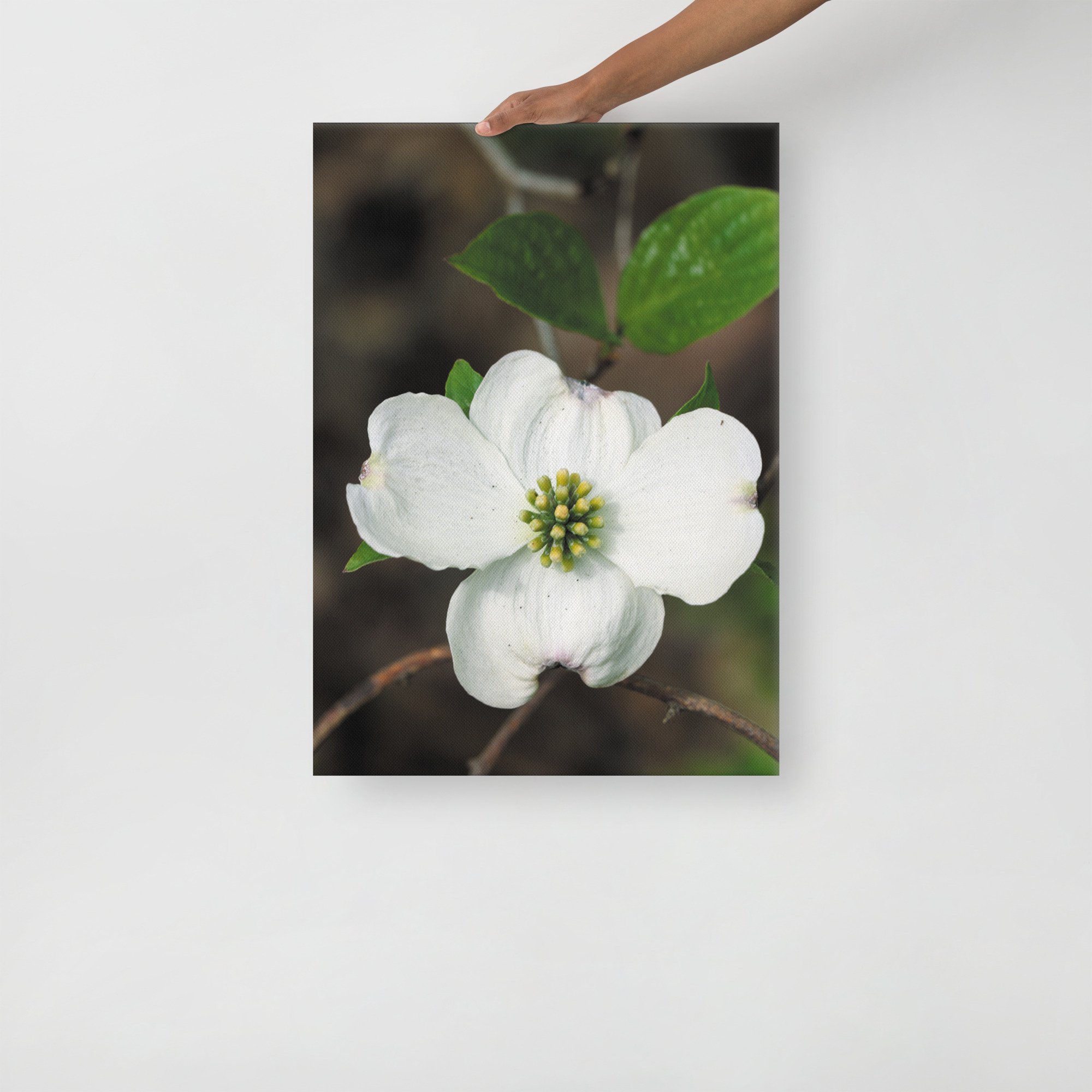 thin-canvas-(in)-20x28-front-6754febbe660a.jpg