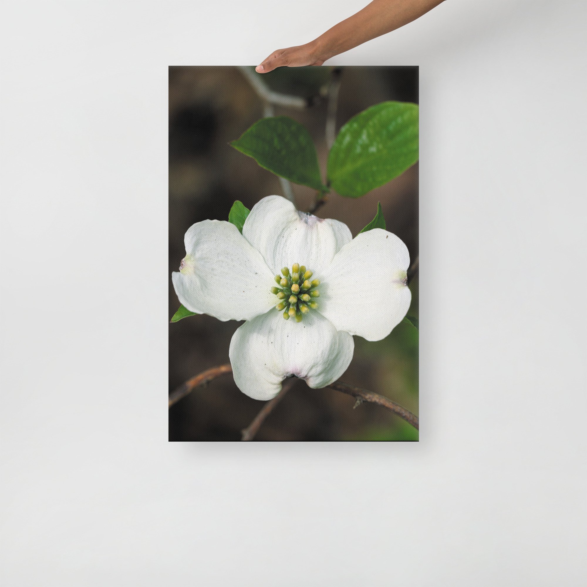 thin-canvas-(in)-20x30-front-6754febbe669d.jpg