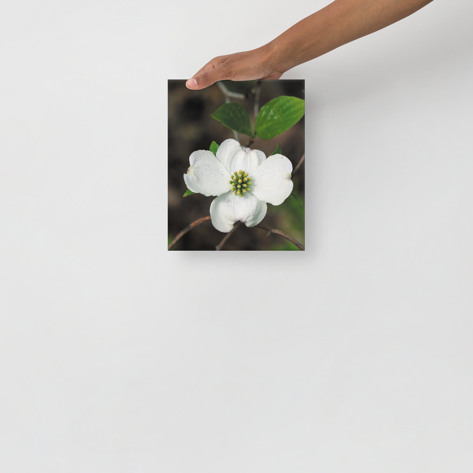 thin-canvas-(in)-8x10-front-6754febbe675d.jpg