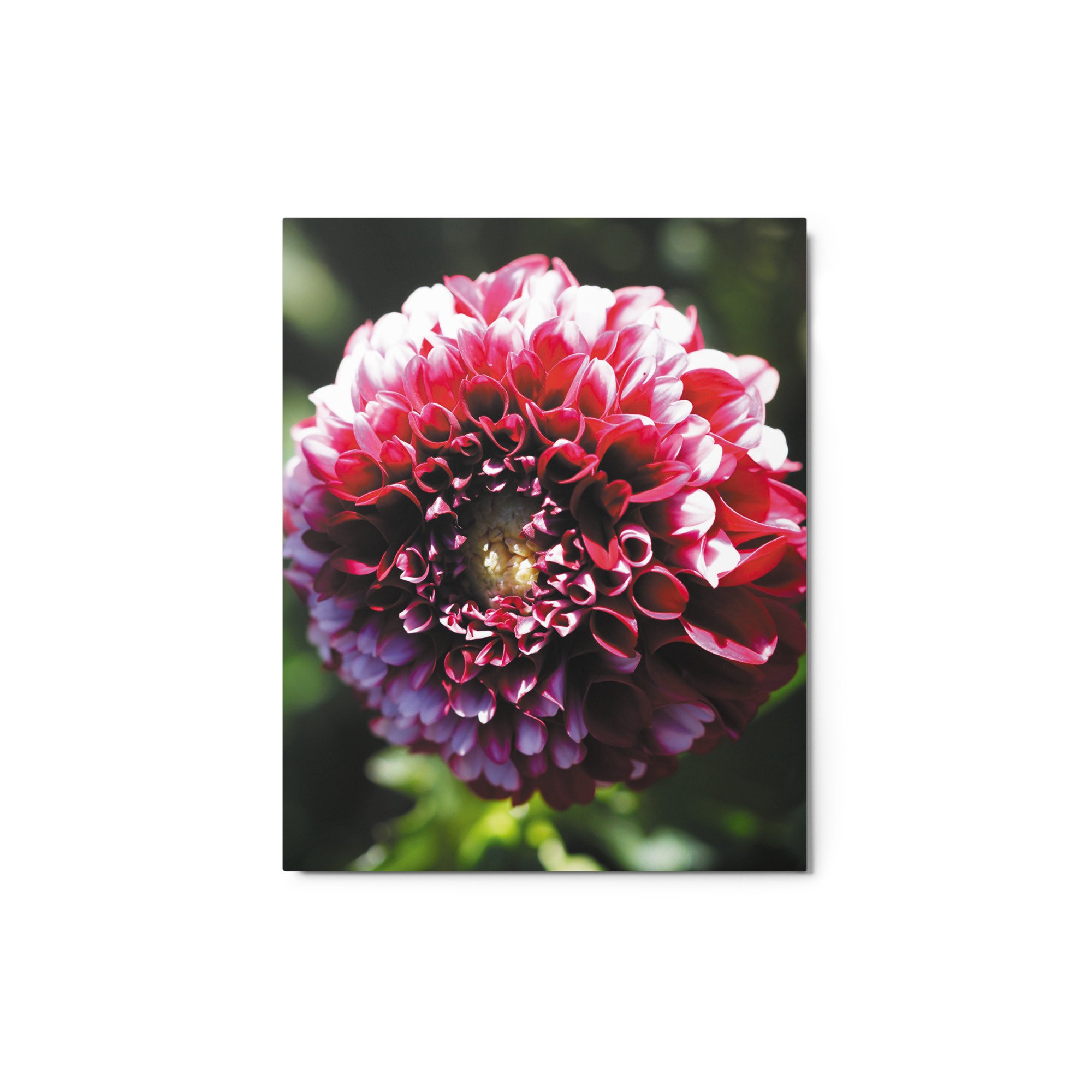 glossy-metal-print-(in)-white-8x10-front-679d119b6334b.jpg