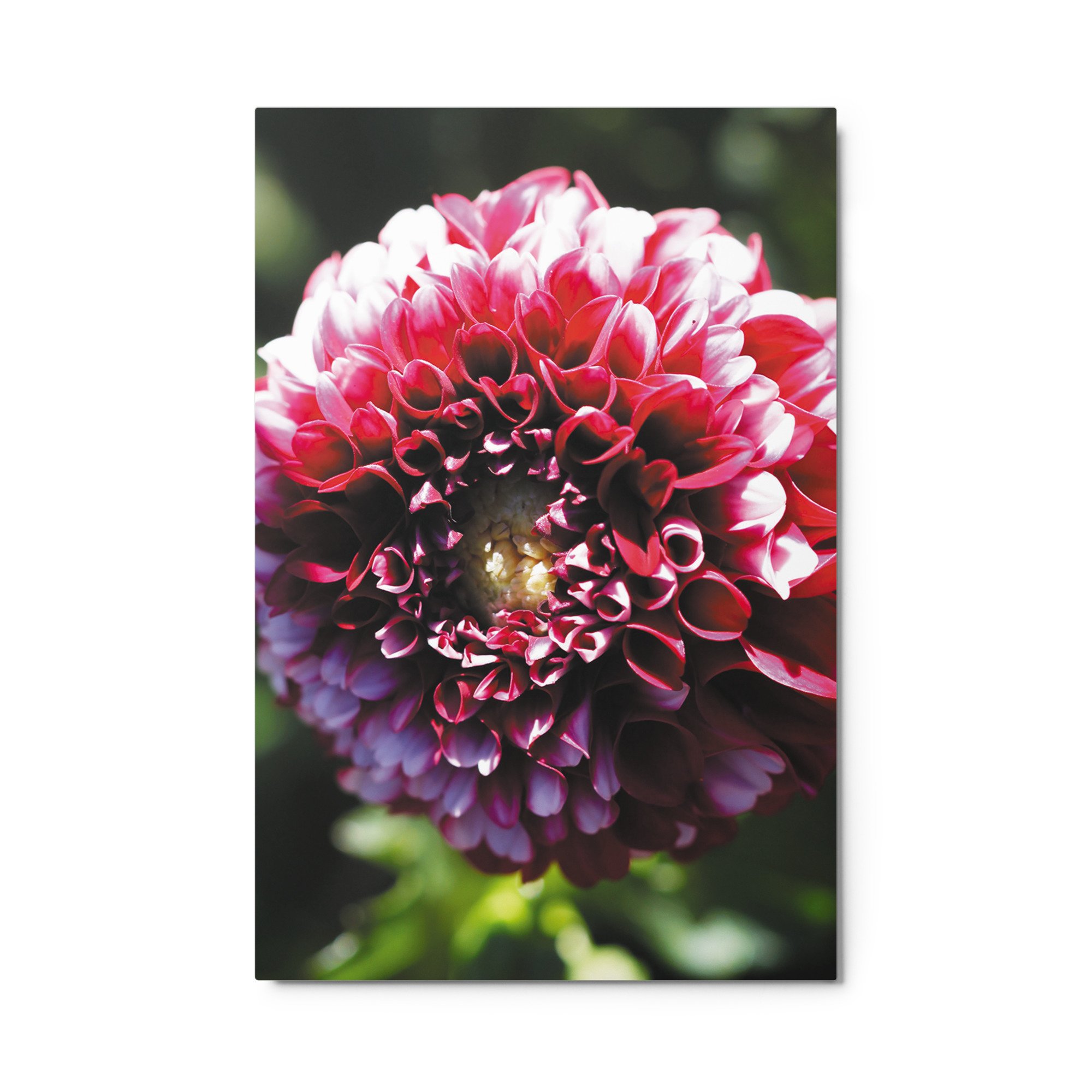 glossy-metal-print-(in)-white-24x36-front-679d119b6372d.jpg