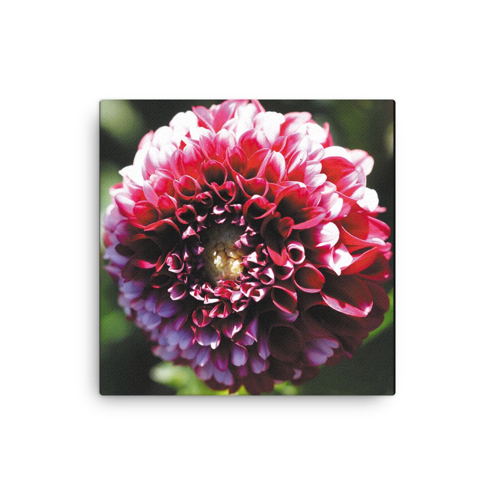 thin-canvas-(in)-12x12-front-679d12357b57b.jpg