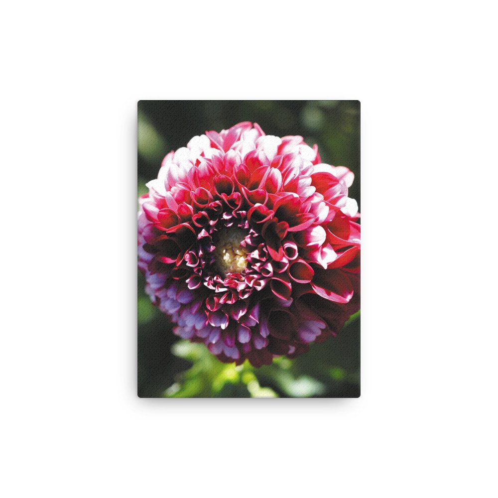 thin-canvas-(in)-12x16-front-679d12357b643.jpg