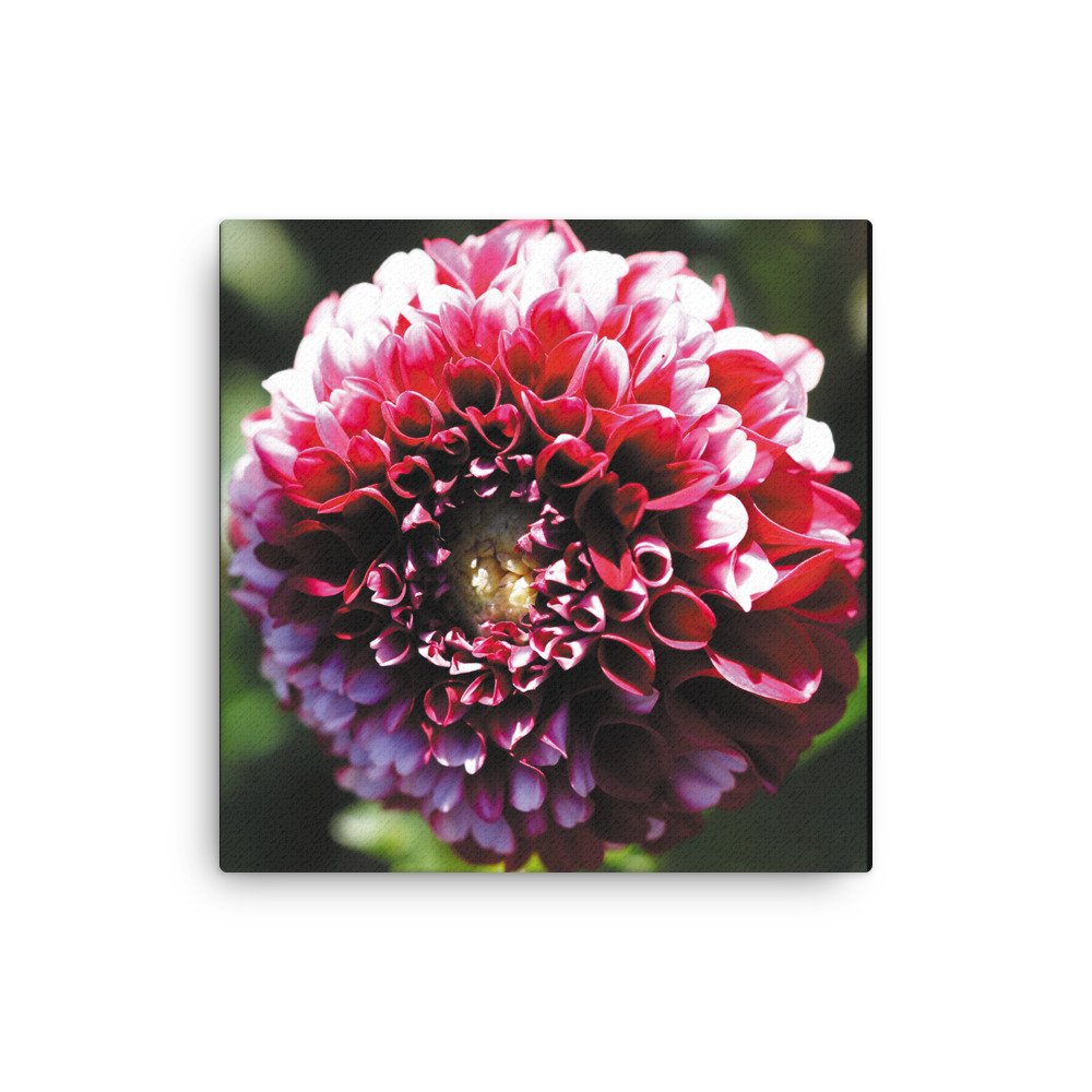 thin-canvas-(in)-16x16-front-679d12357b701.jpg