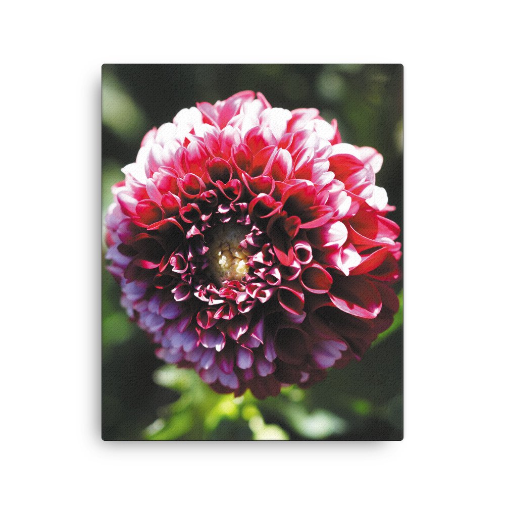 thin-canvas-(in)-16x20-front-679d12357b7ab.jpg