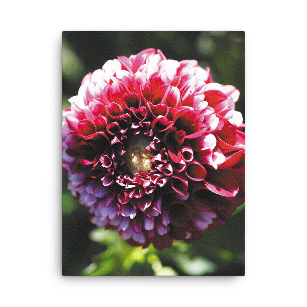 thin-canvas-(in)-18x24-front-679d12357b844.jpg