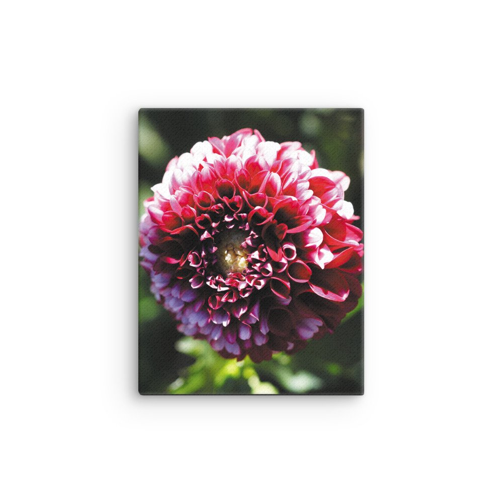 thin-canvas-(in)-11x14-front-679d12357b956.jpg