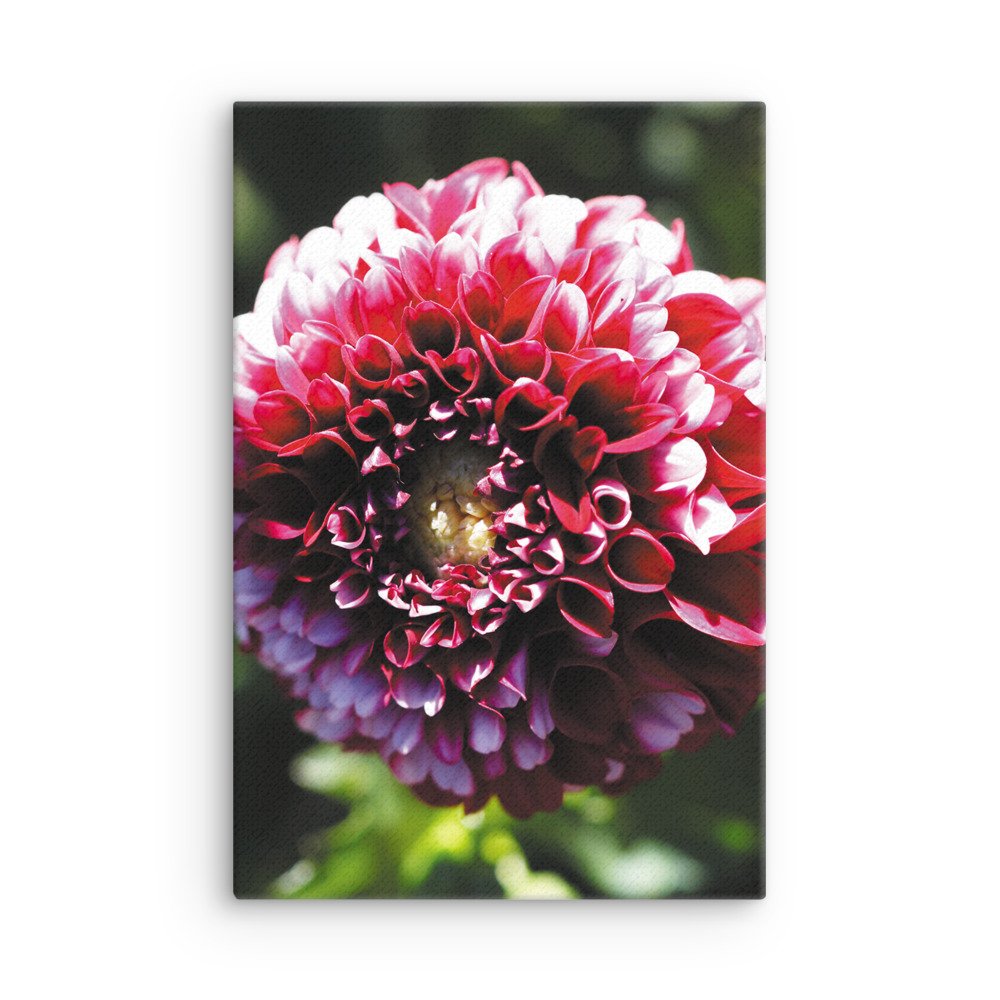 thin-canvas-(in)-12x18-front-679d12357b9ee.jpg