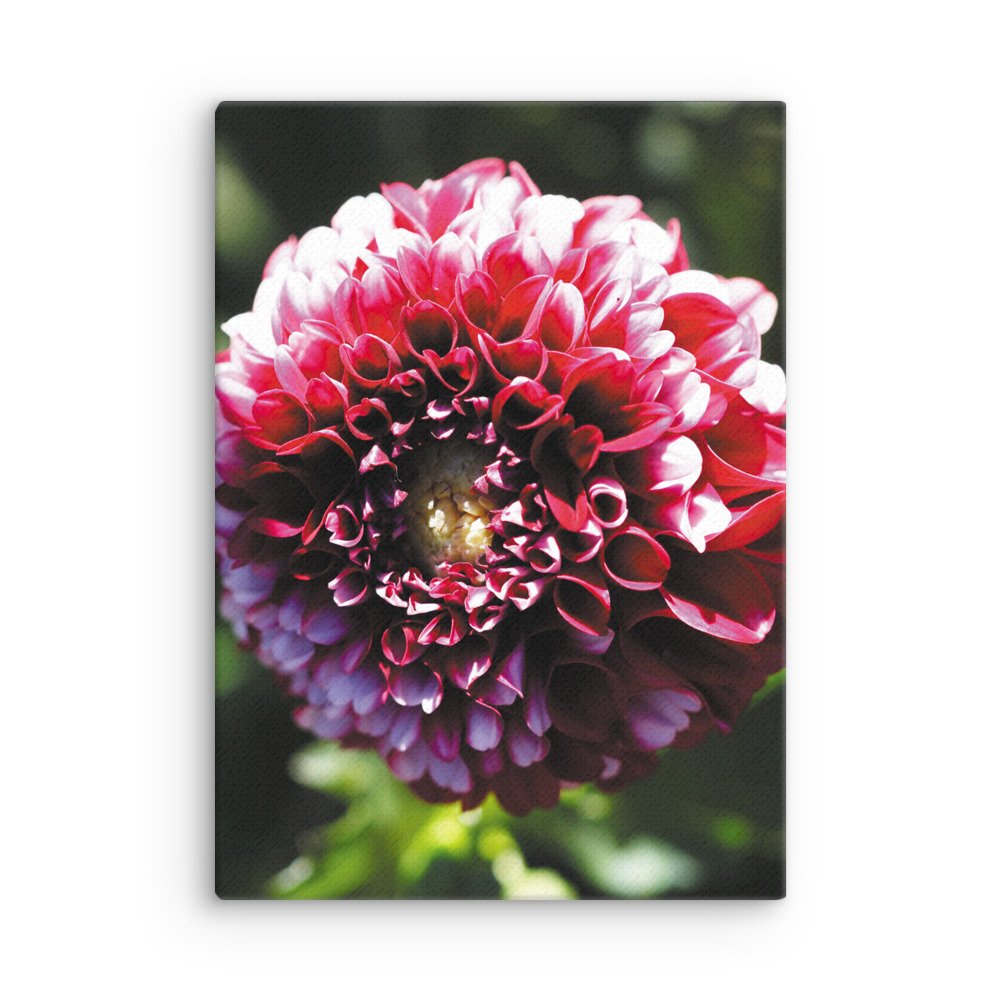 thin-canvas-(in)-20x28-front-679d12357ba8a.jpg