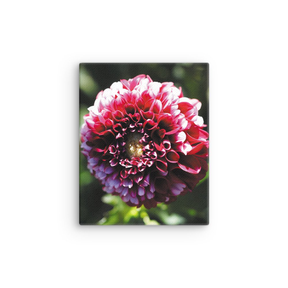 thin-canvas-(in)-8x10-front-679d12357bba4.jpg