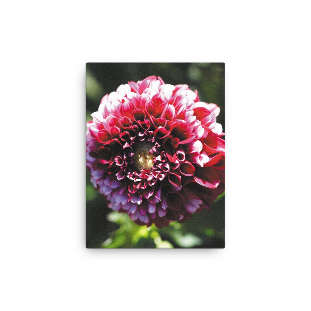 thin-canvas-(in)-9x12-front-679d12357bc35.jpg