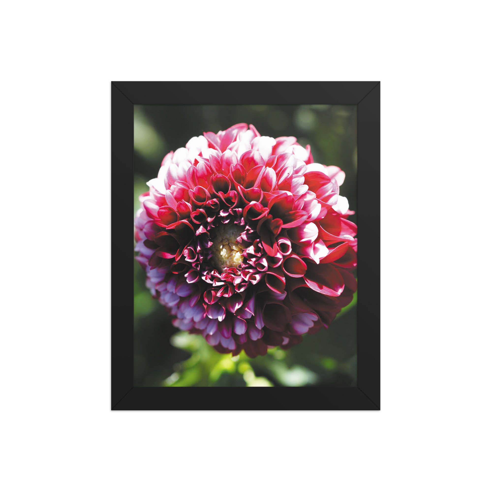 premium-luster-photo-paper-framed-poster-(in)-black-8x10-front-679d132847a9d.jpg