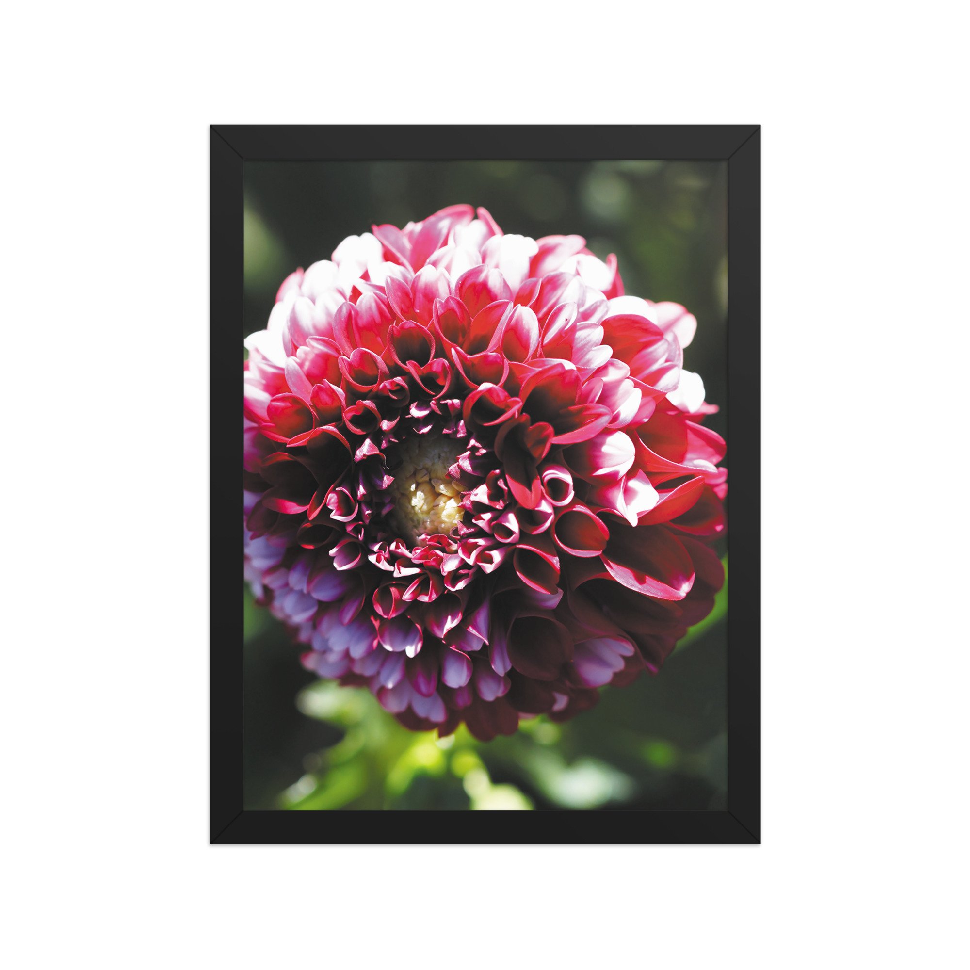 premium-luster-photo-paper-framed-poster-(in)-black-12x16-front-679d132847f2e.jpg