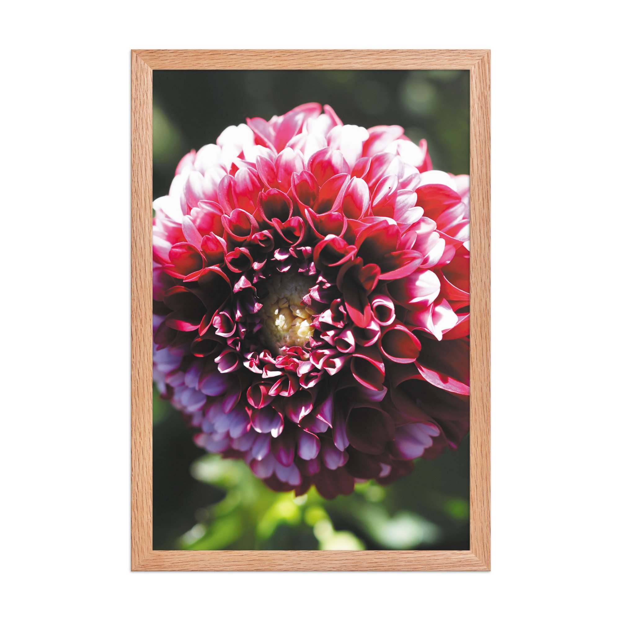 premium-luster-photo-paper-framed-poster-(in)-red-oak-12x18-front-679d132848cfe.jpg