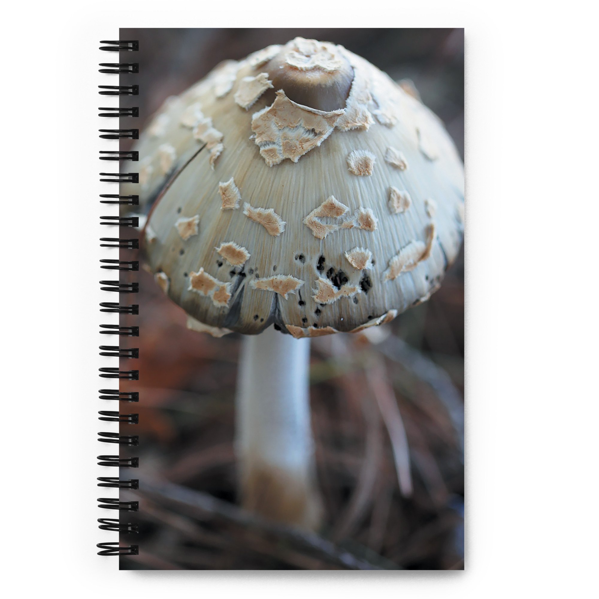spiral-notebook-white-front-67a52c60b41dc.jpg