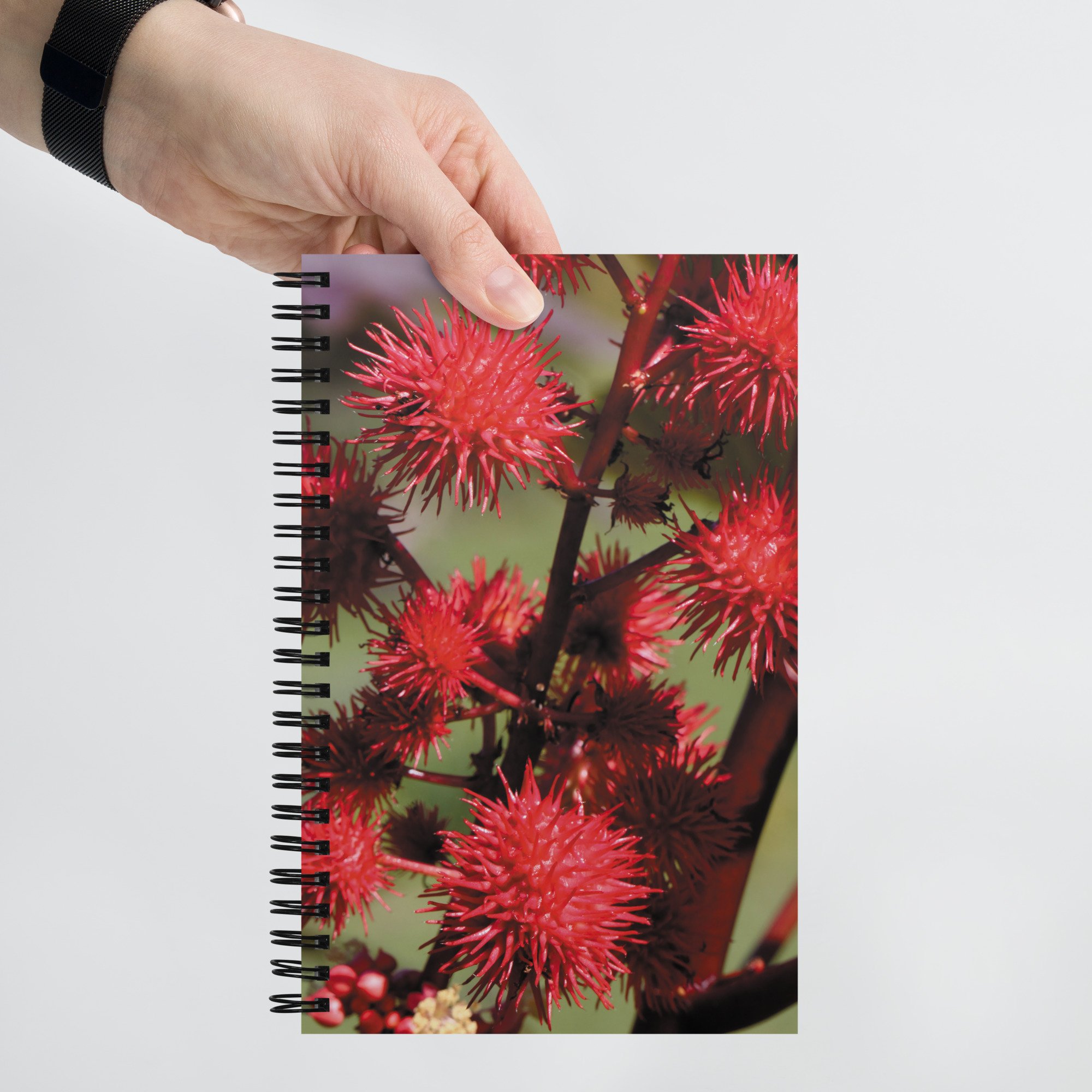 spiral-notebook-white-front-67a533b36a9b9.jpg