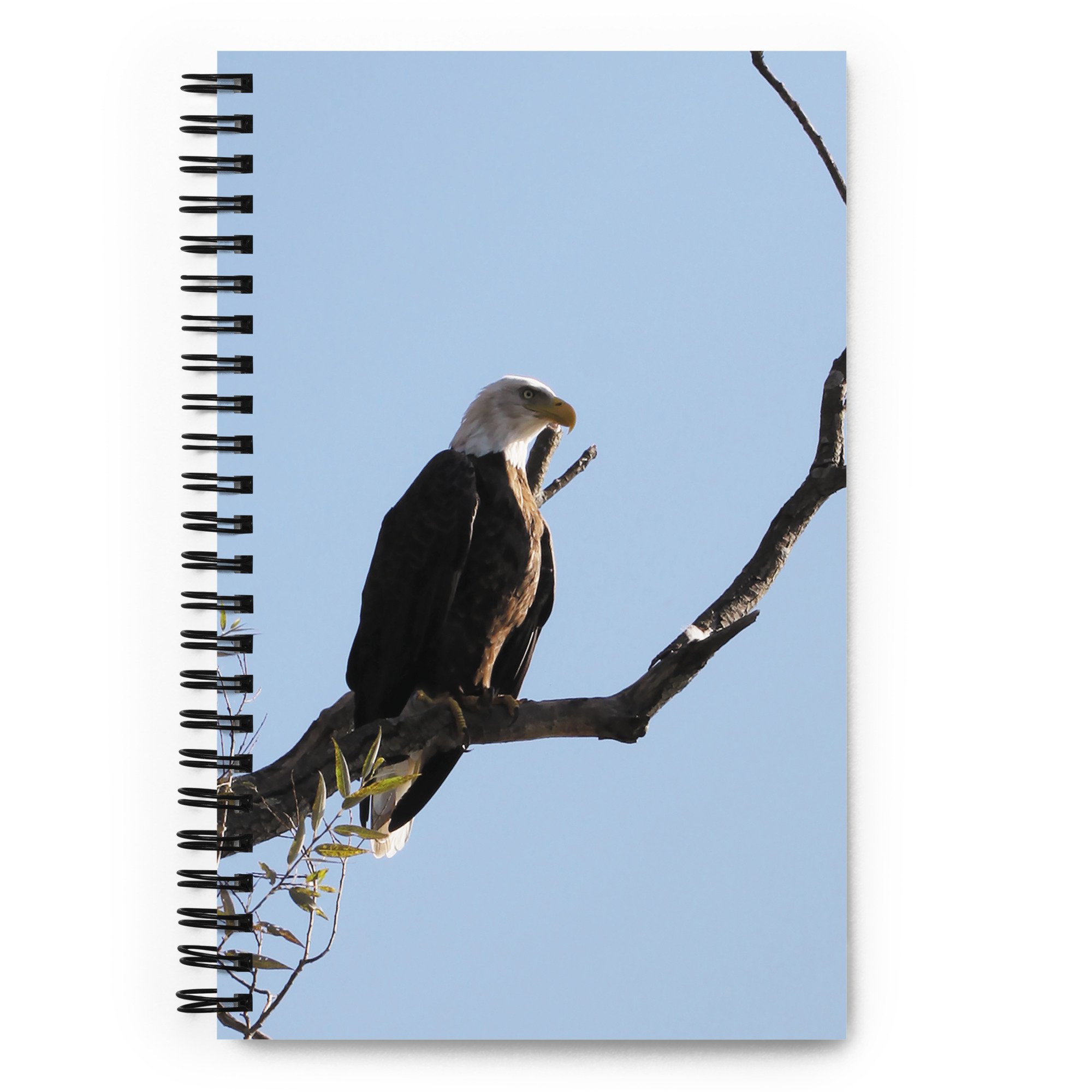 spiral-notebook-white-front-67a5347d92d0e.jpg