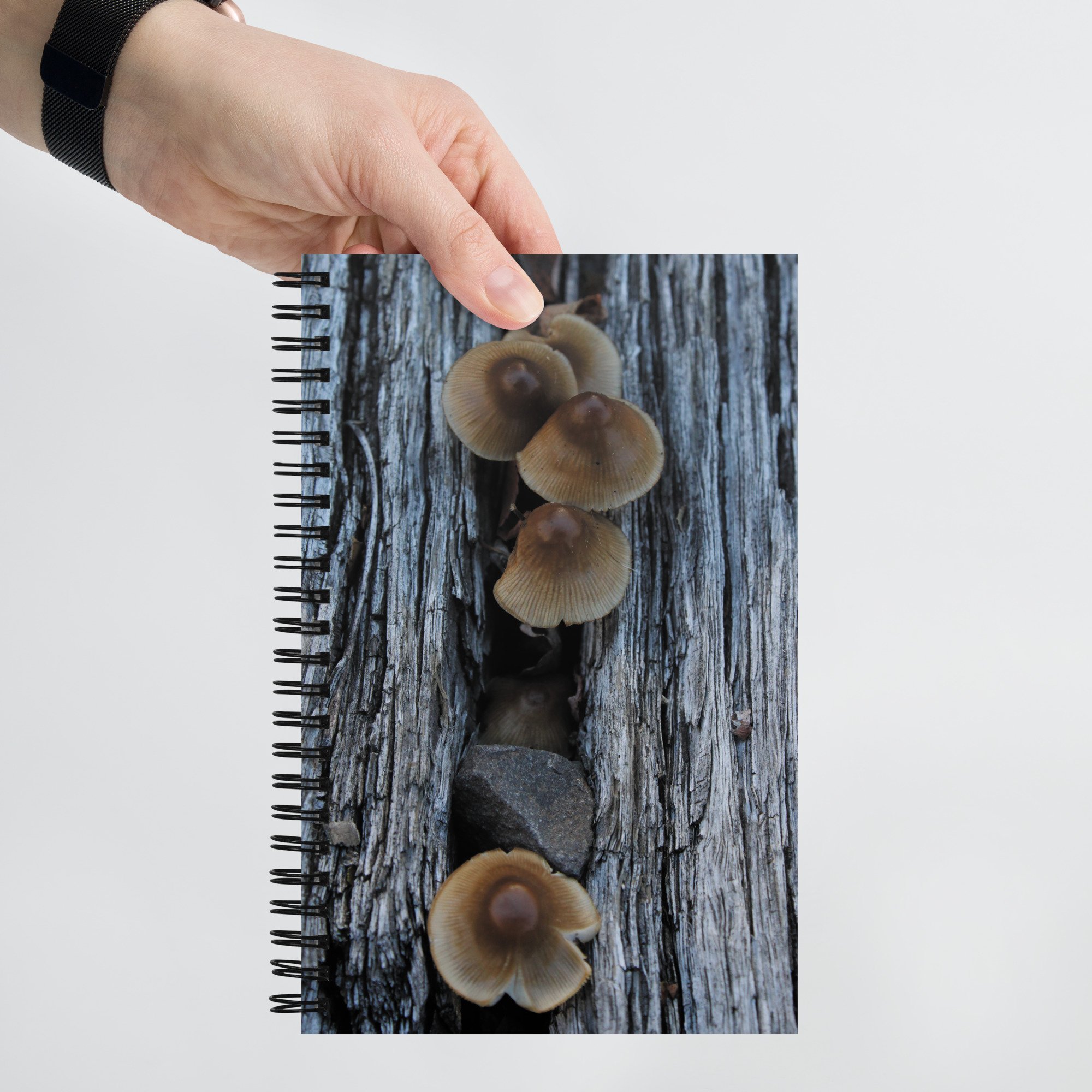 spiral-notebook-white-front-67a537e7be3d1.jpg