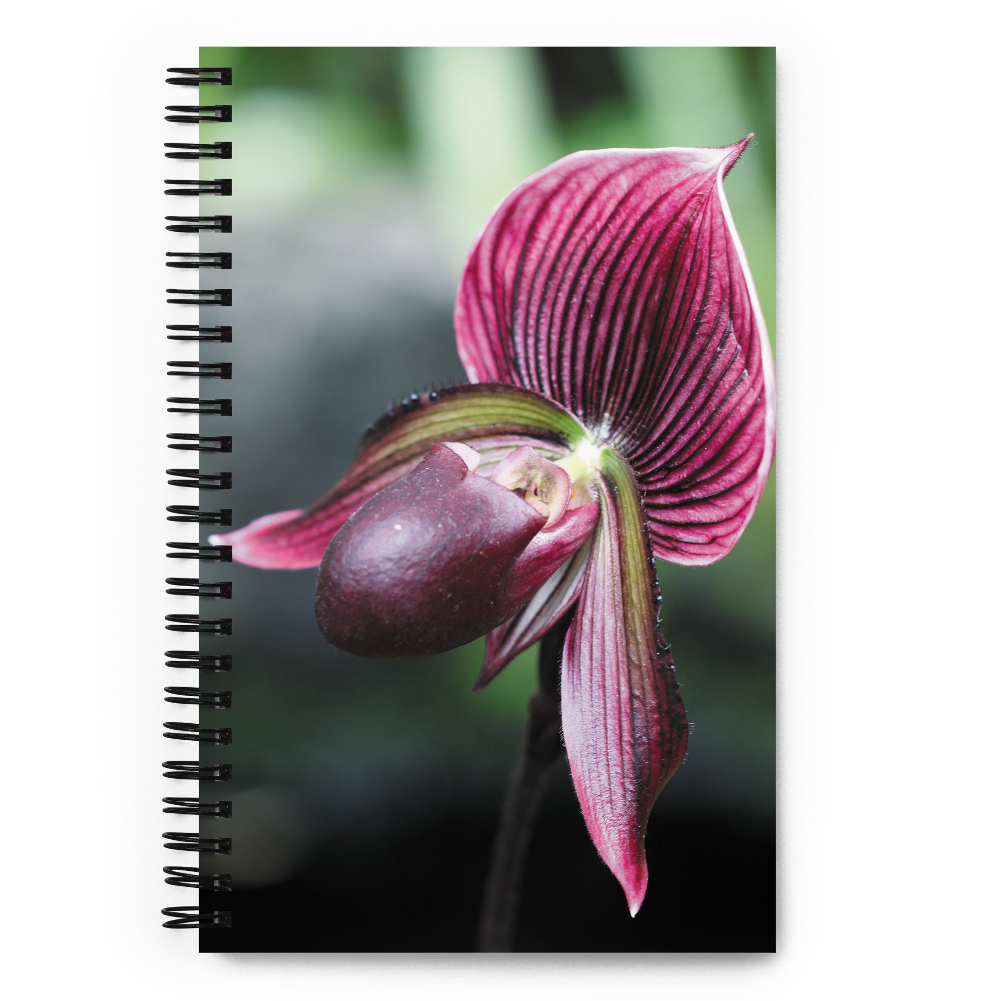 spiral-notebook-white-front-67a53cdc805e8.jpg