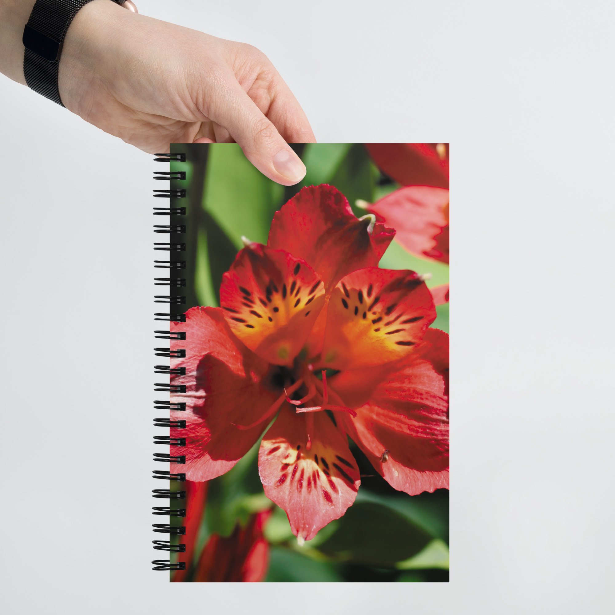 spiral-notebook-white-front-67a53d21e91b8.jpg