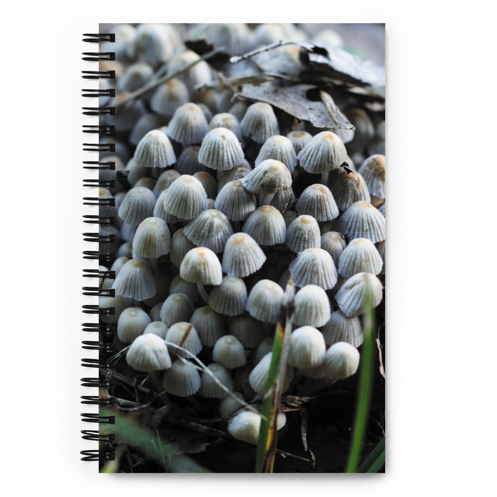 spiral-notebook-white-front-67a5437d97ccc.jpg