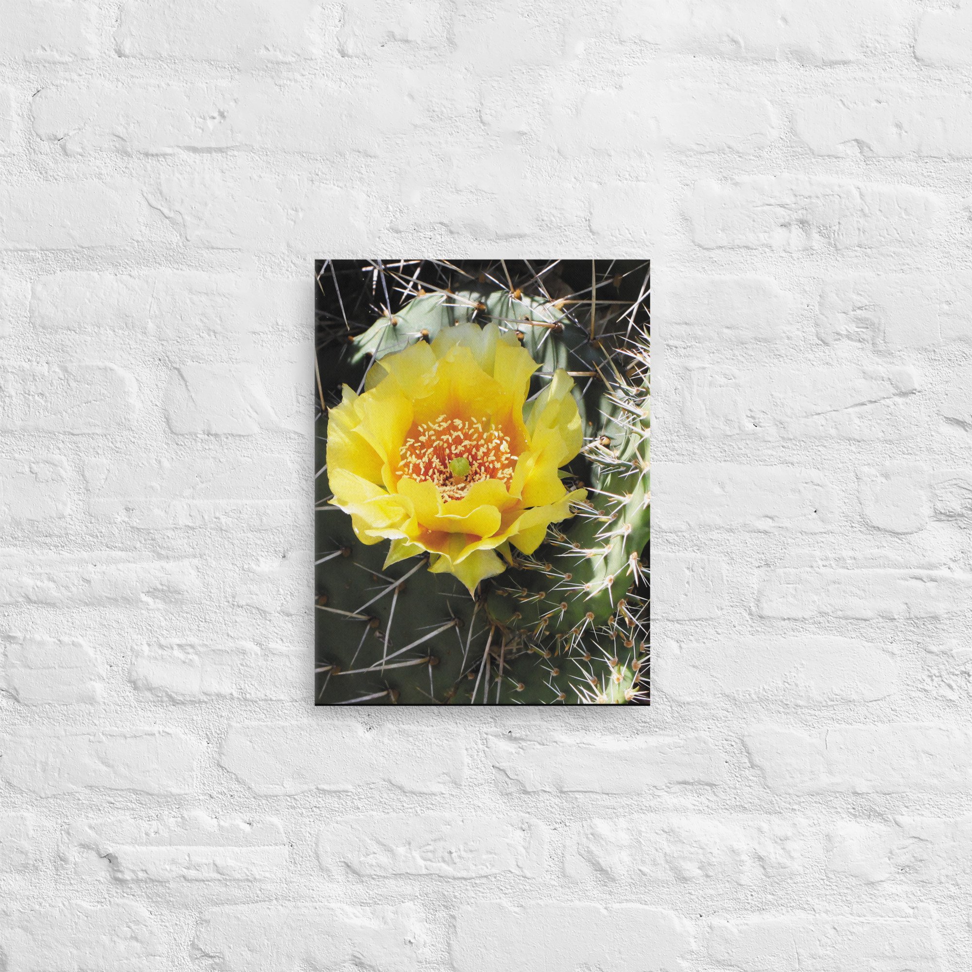 thin-canvas-(in)-12x16-front-67aa71c8476d3.jpg