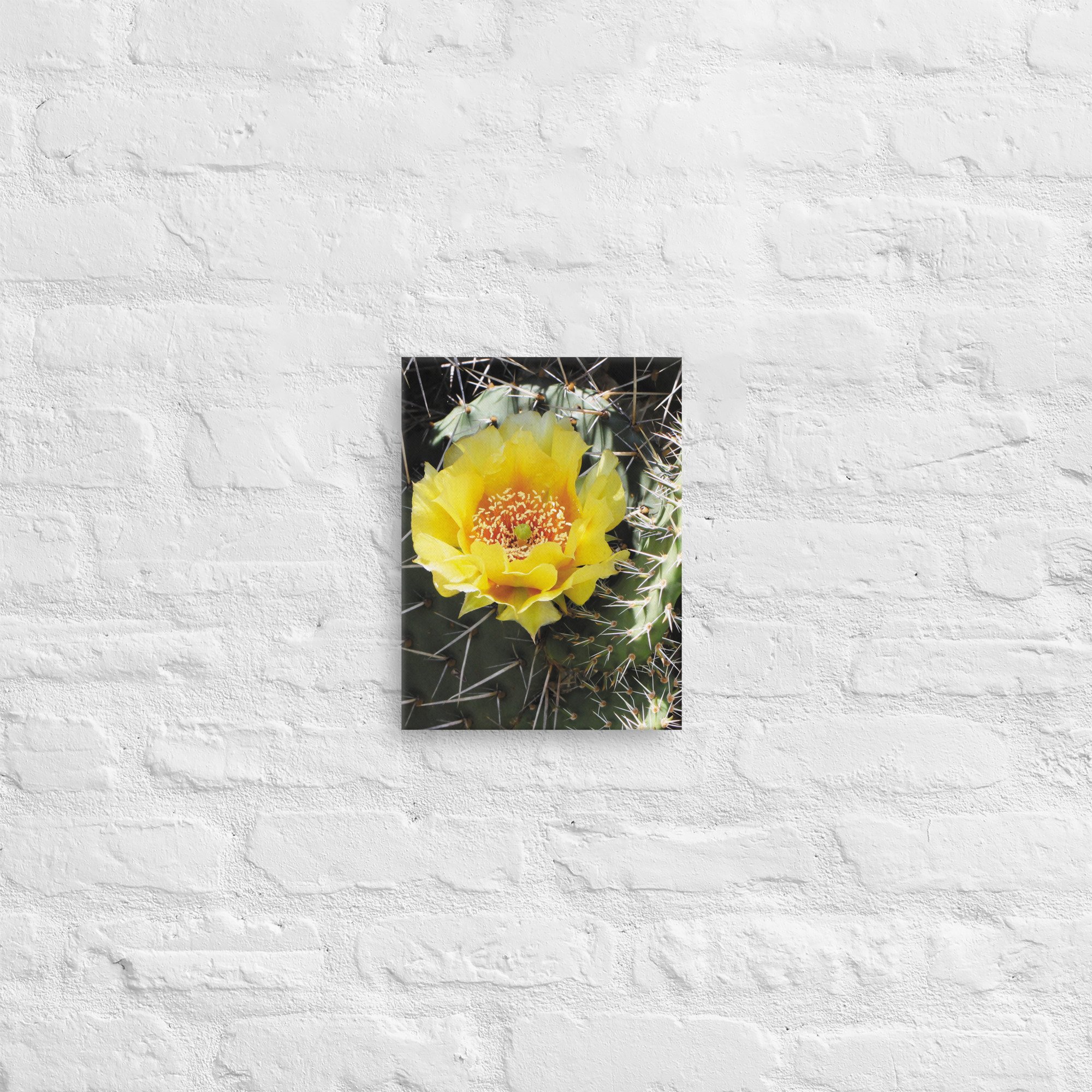 thin-canvas-(in)-9x12-front-67aa71c847a5c.jpg