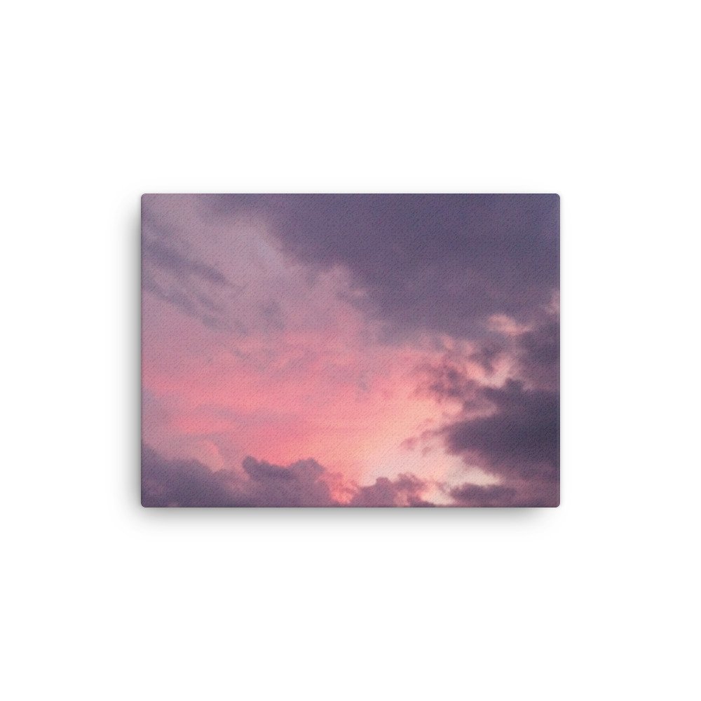 thin-canvas-(in)-12x16-front-67b24139e4ef8.jpg