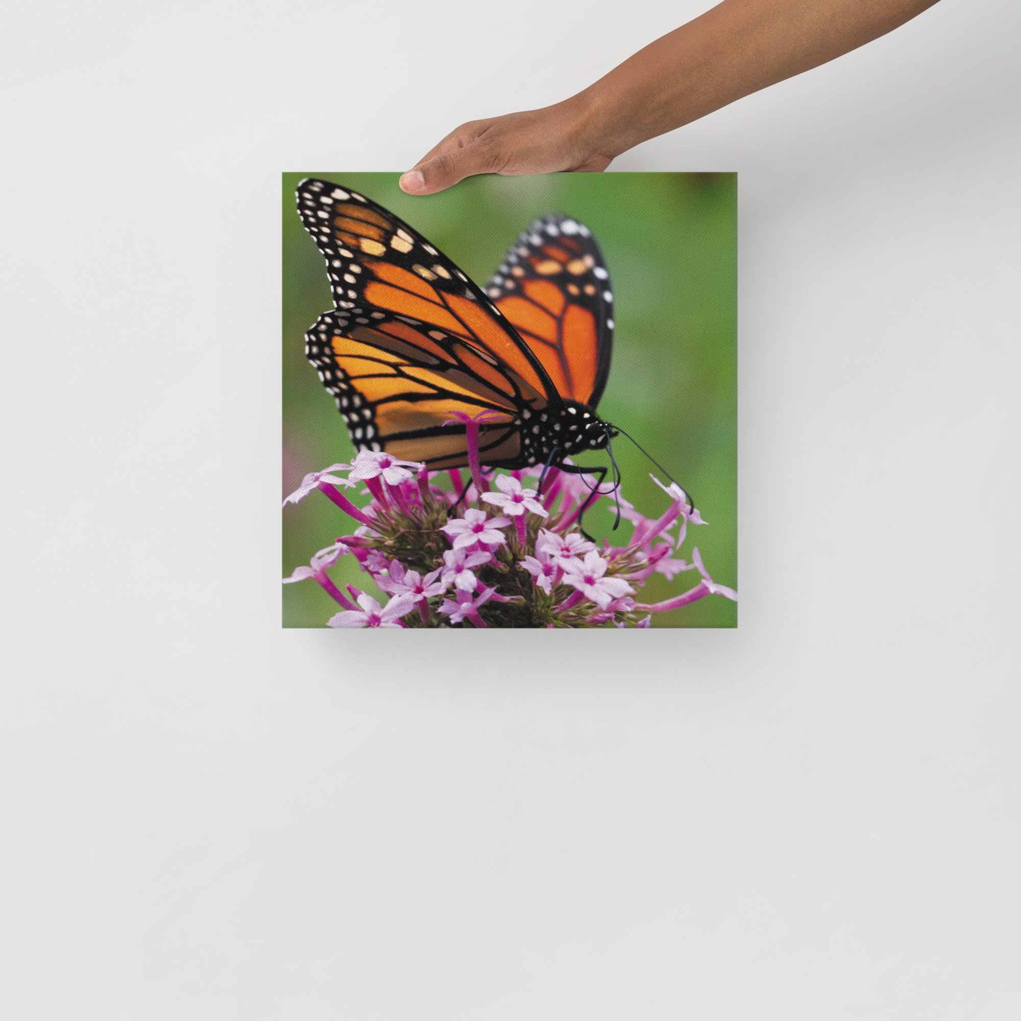 thin-canvas-(in)-12x12-front-67d352ed3c502.jpg