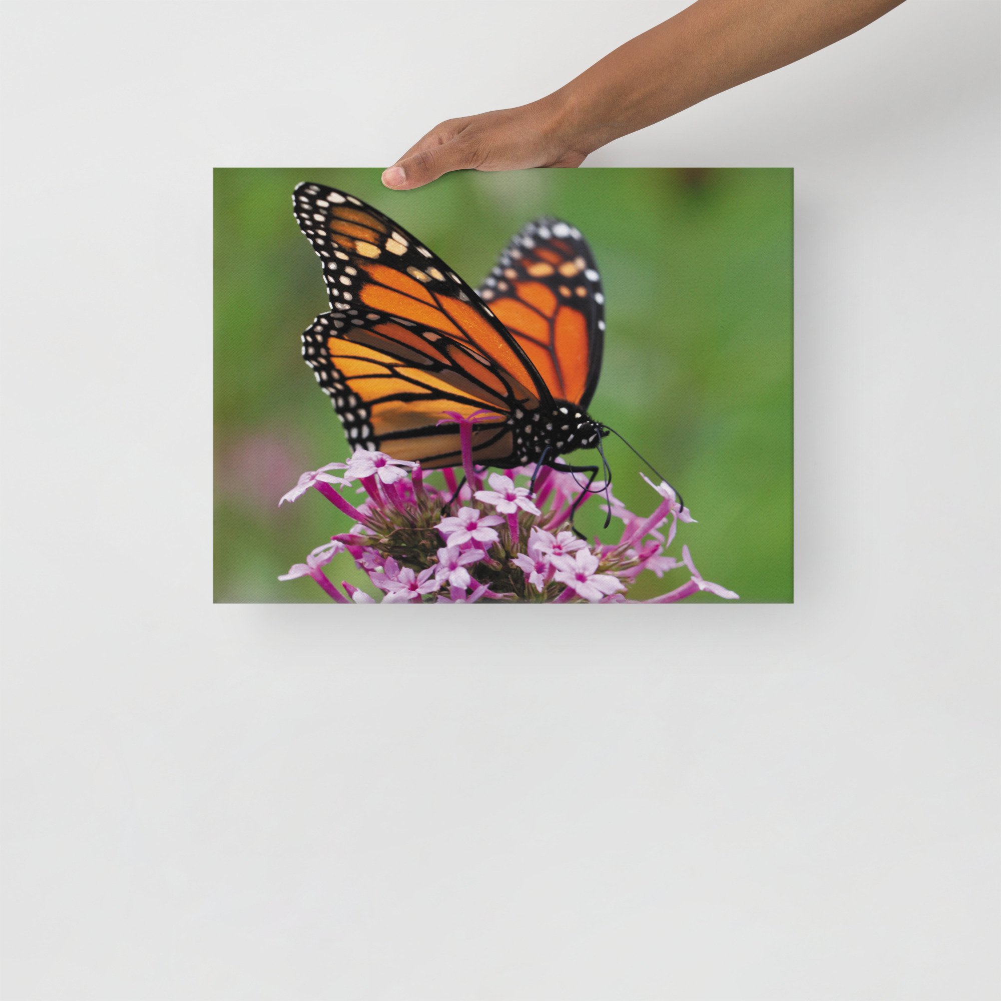 thin-canvas-(in)-12x16-front-67d352ed3c586.jpg