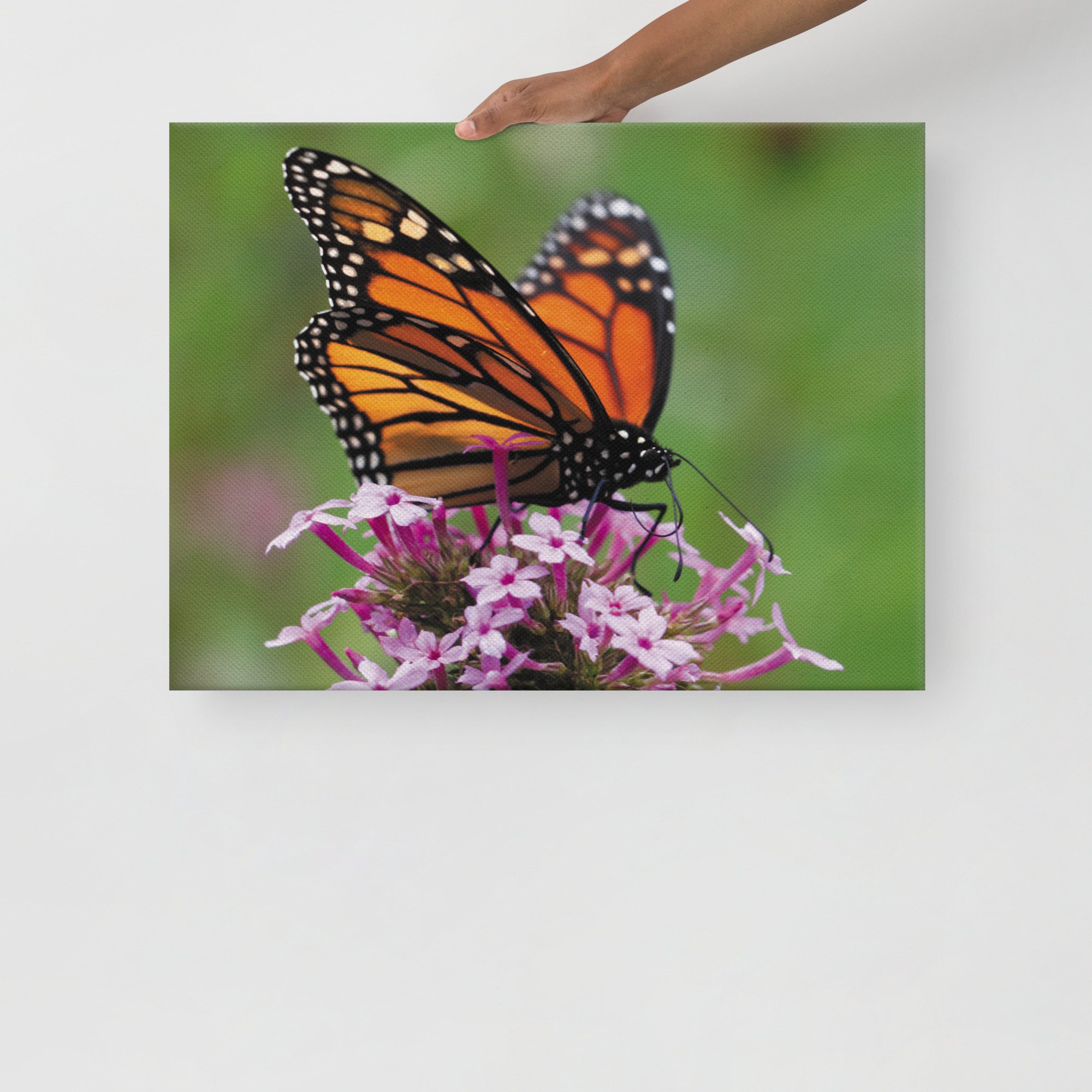 thin-canvas-(in)-18x24-front-67d352ed3c66d.jpg