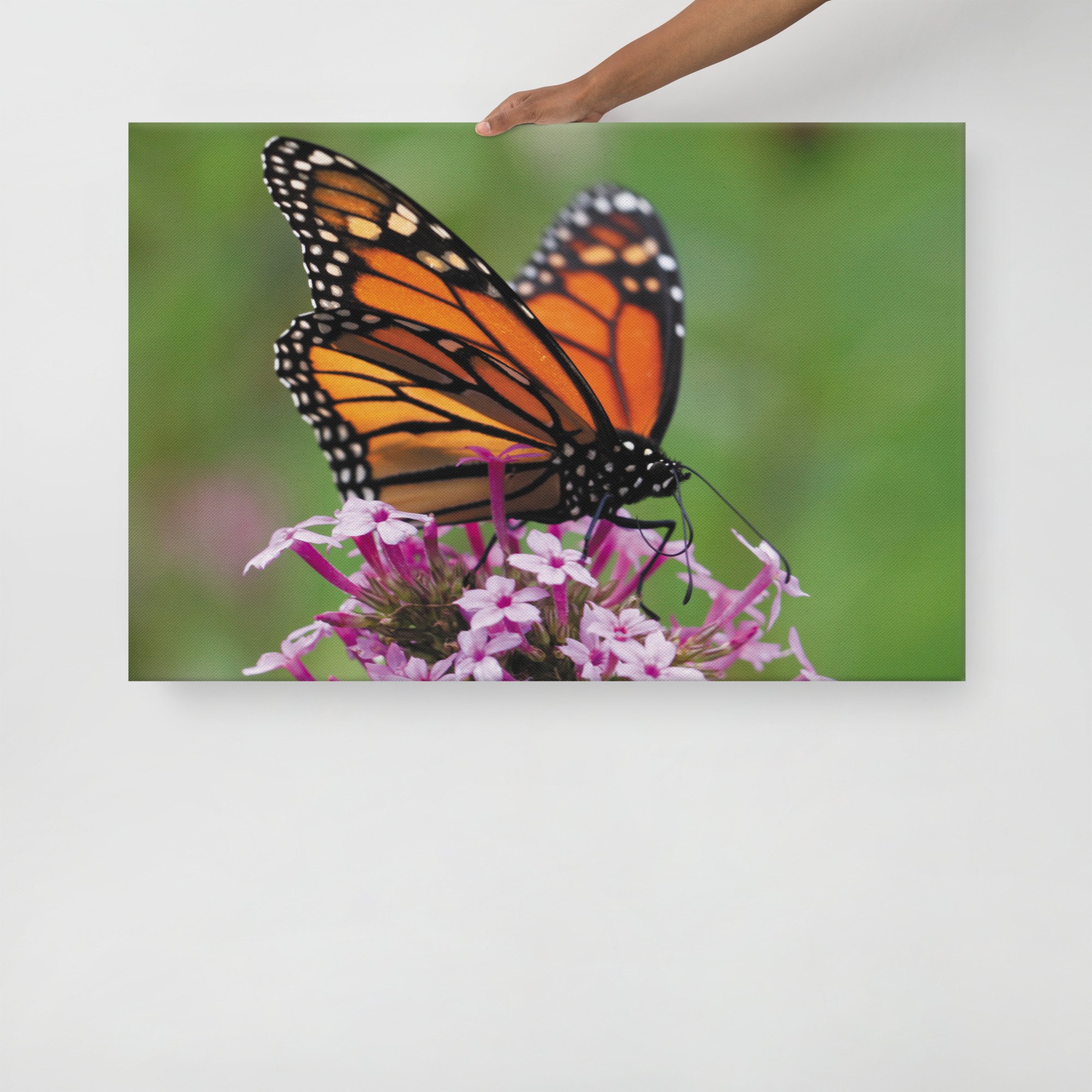 thin-canvas-(in)-24x36-front-67d352ed3c6c4.jpg