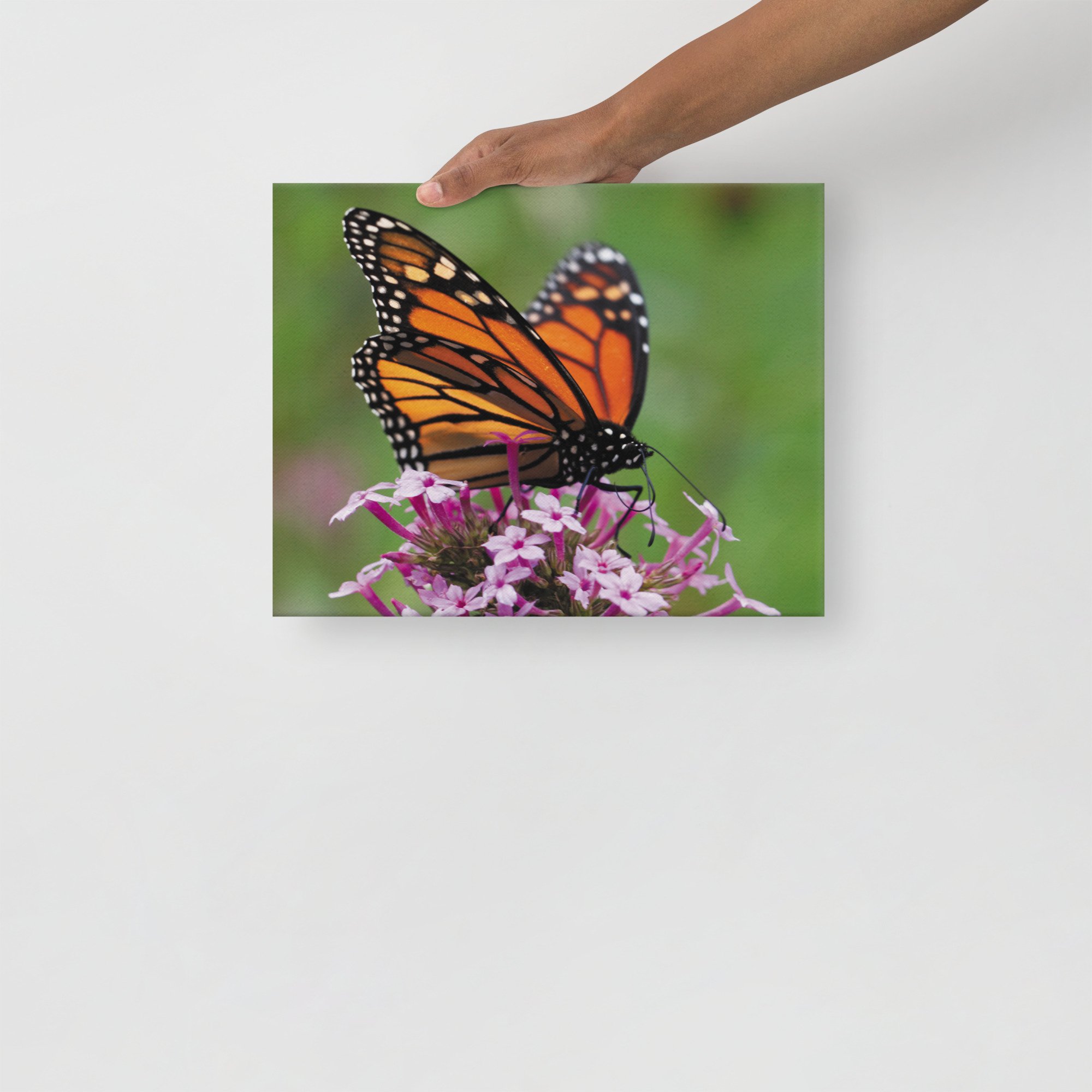 thin-canvas-(in)-11x14-front-67d352ed3c71b.jpg