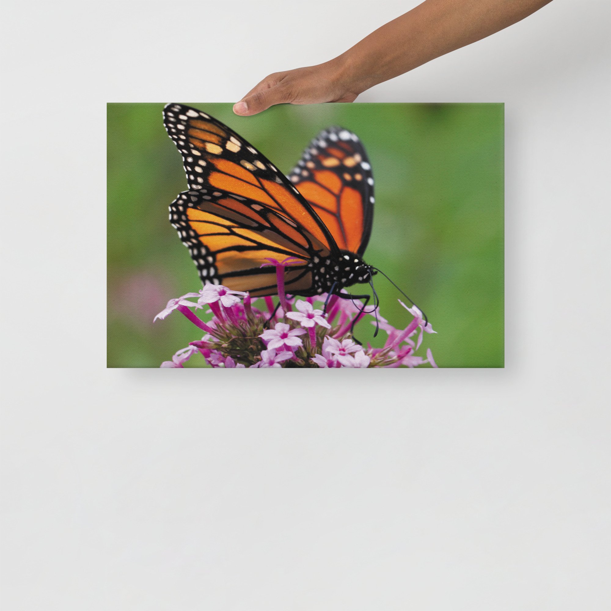 thin-canvas-(in)-12x18-front-67d352ed3c76f.jpg