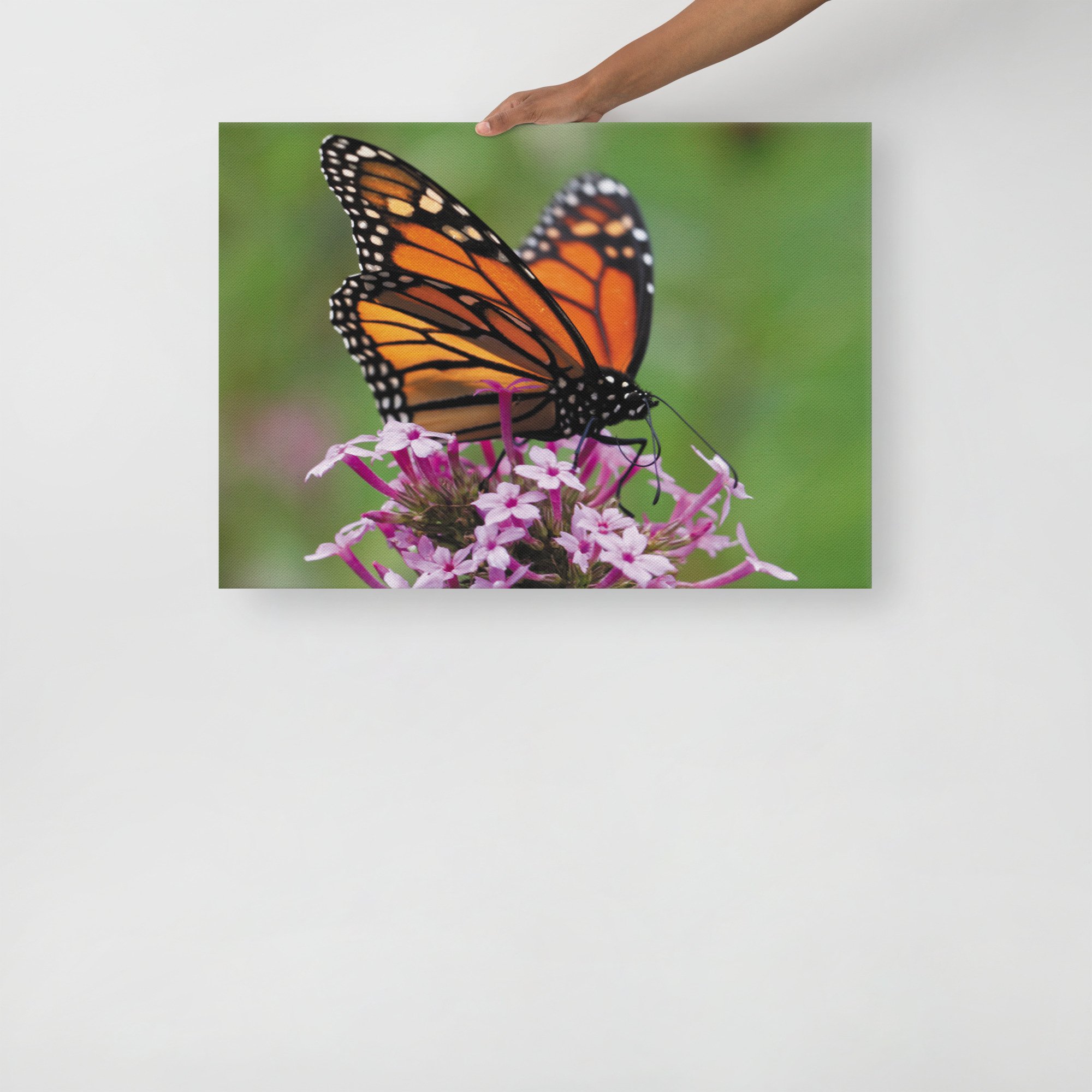 thin-canvas-(in)-20x28-front-67d352ed3c7c3.jpg