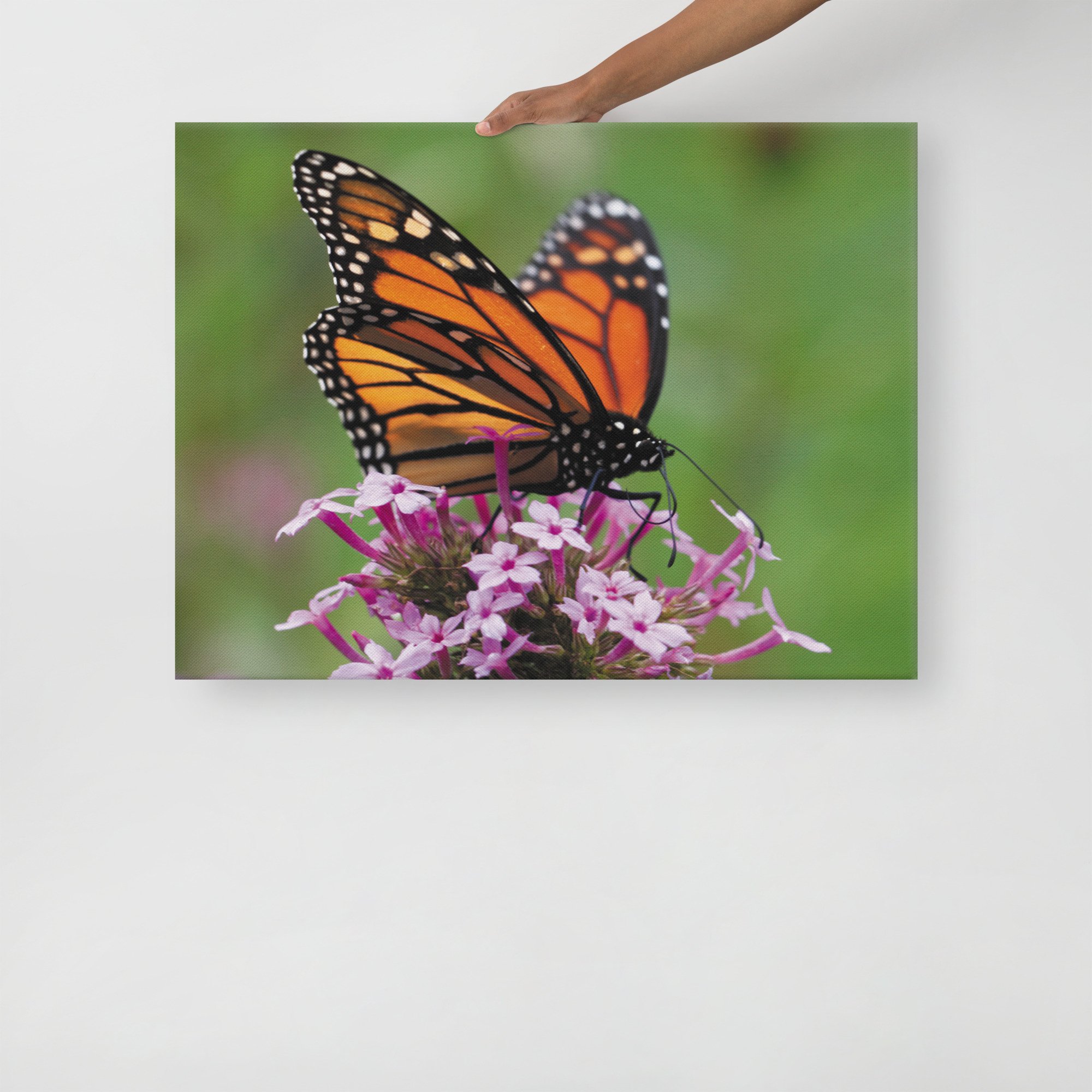 thin-canvas-(in)-24x32-front-67d352ed3c864.jpg