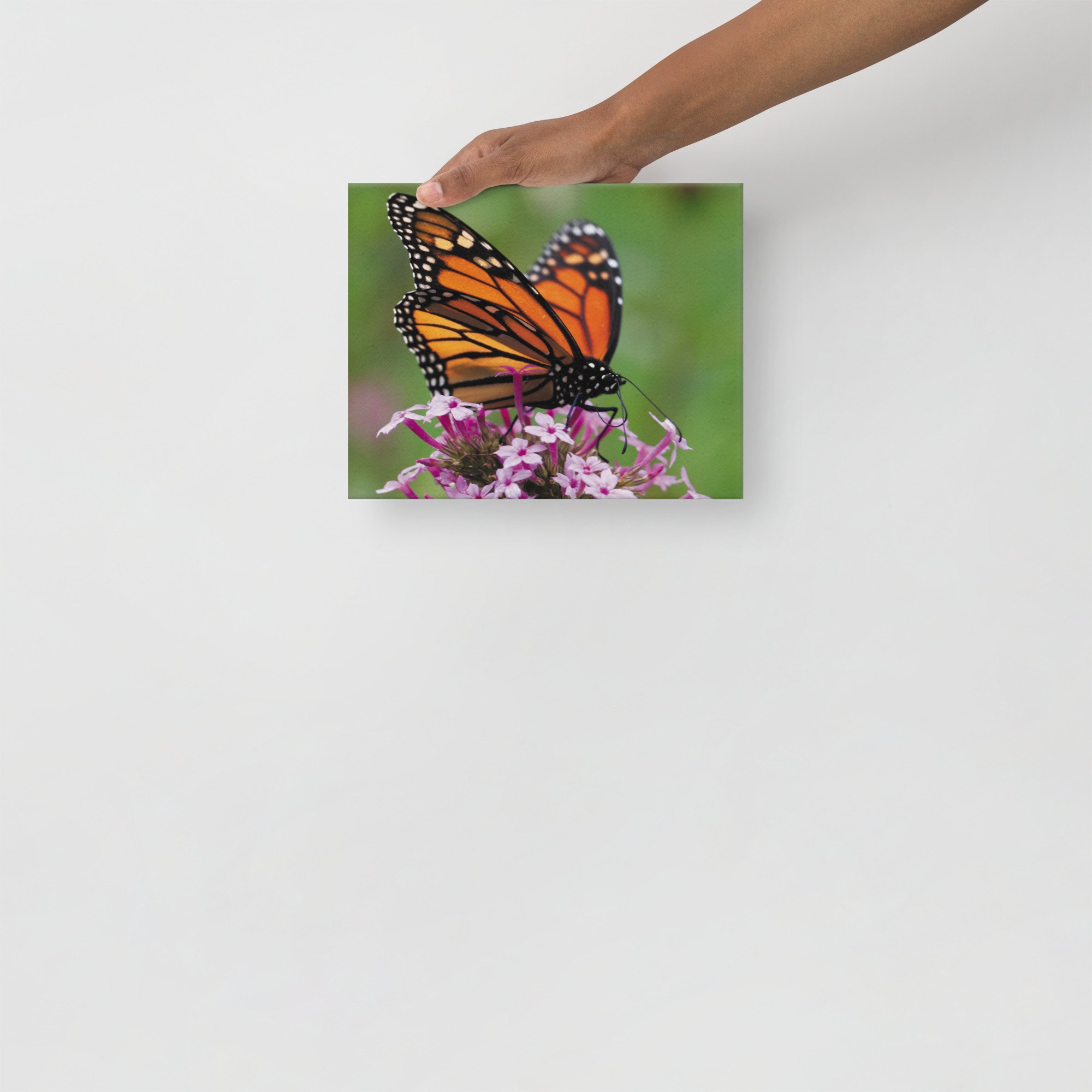 thin-canvas-(in)-8x10-front-67d352ed3c8ba.jpg