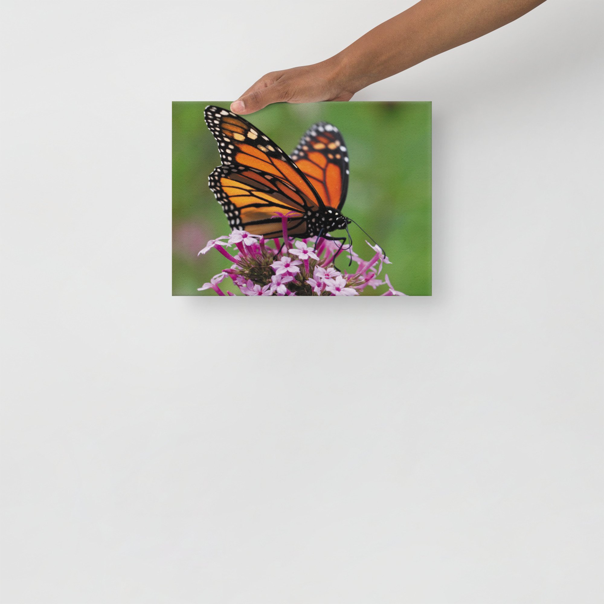 thin-canvas-(in)-9x12-front-67d352ed3c90a.jpg