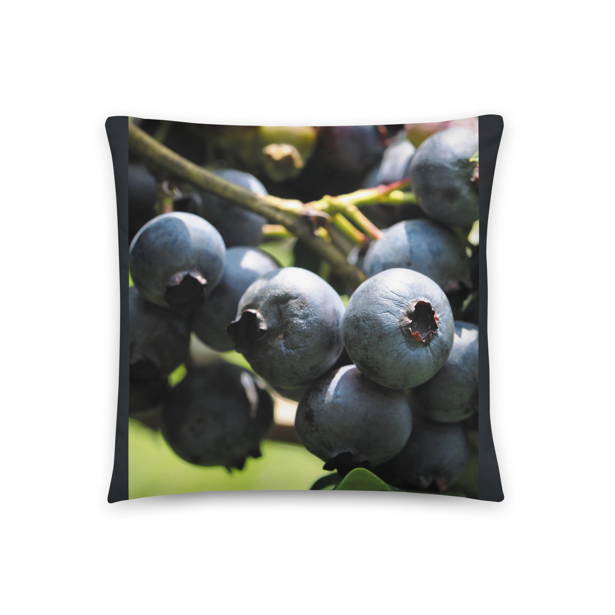 all-over-print-basic-pillow-18x18-front-67d61c4941cb6.jpg