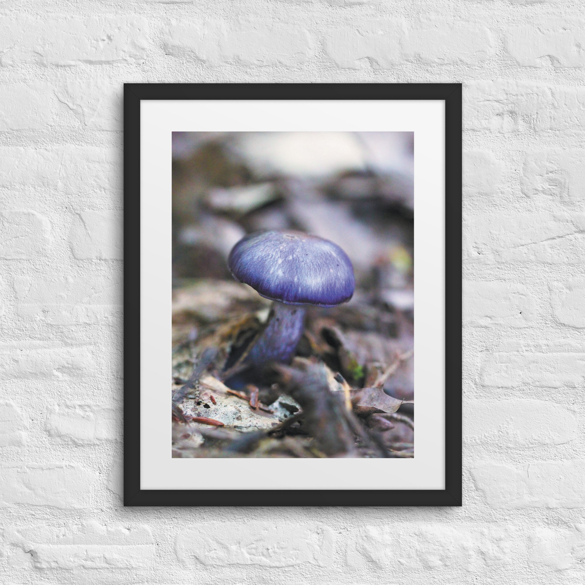 matte-paper-framed-poster-with-mat-(in)-black-16x20-front-67f973639e78d.jpg